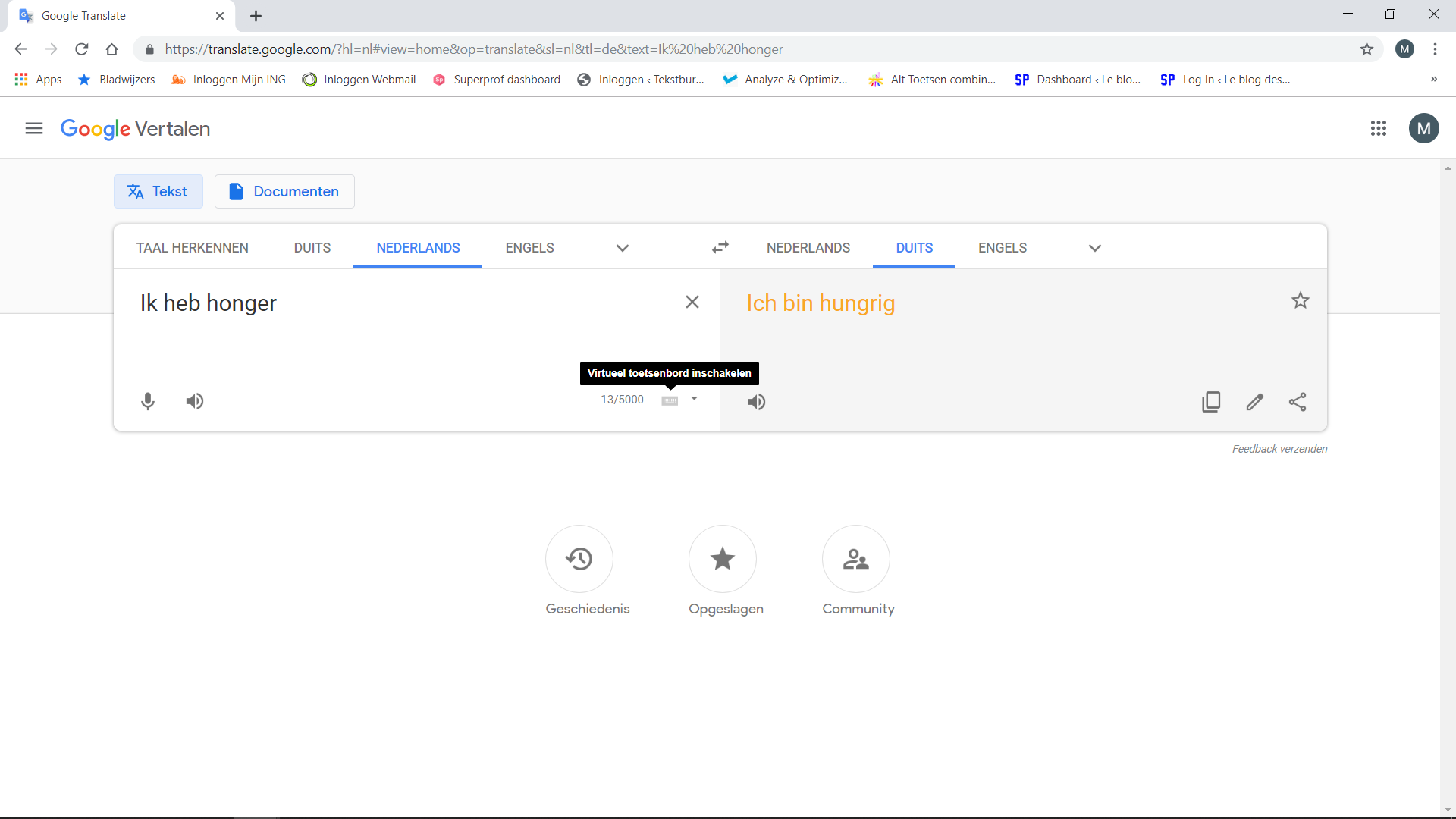 Google Translate vertaalt grof