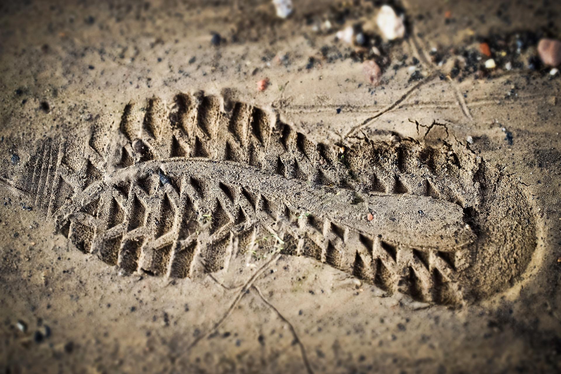 Dankzij foto's en vingerafdrukken dragen biologen indirect bij aan het oplossen van misdaden