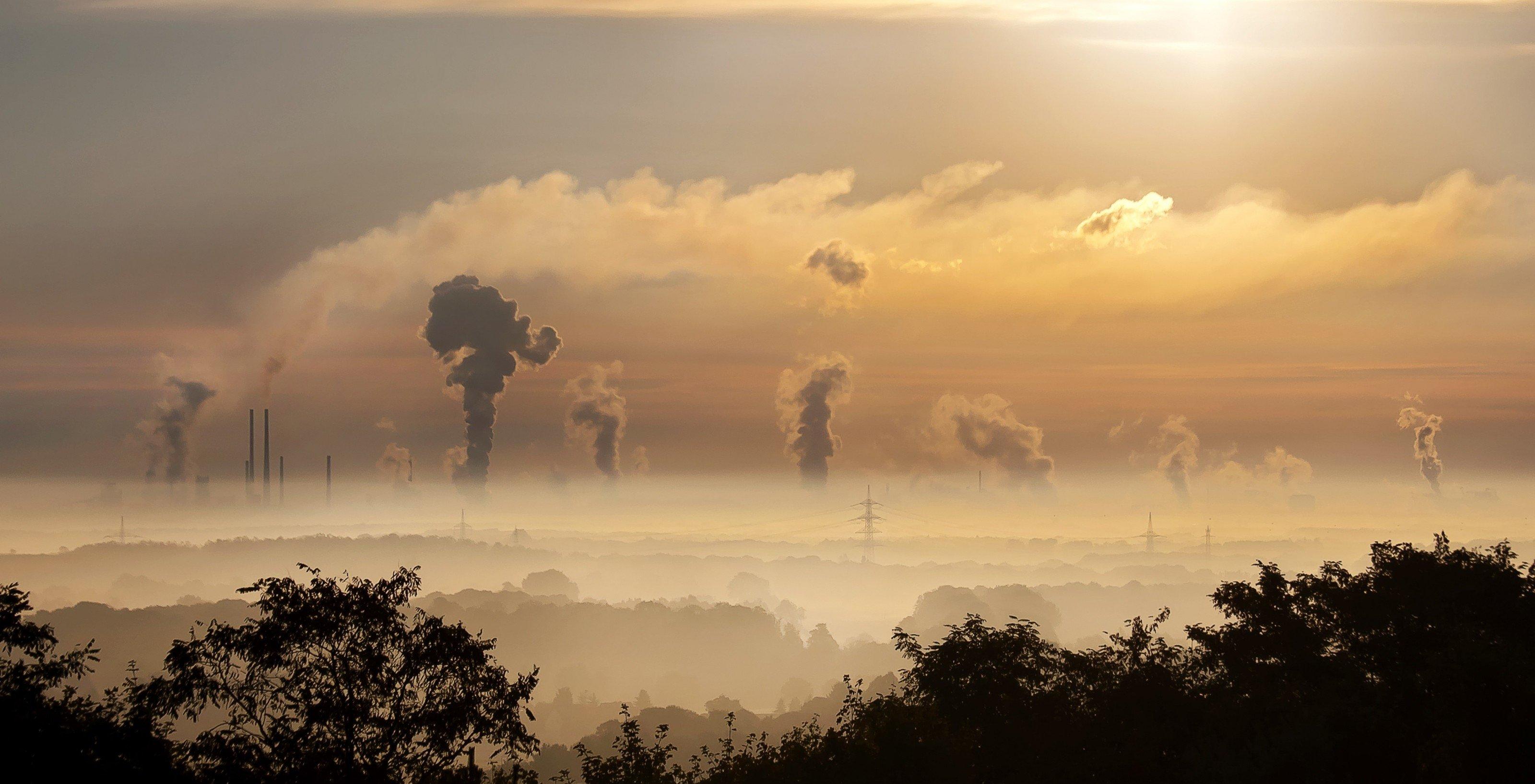 Veel biologische begrippen komen terug in de wereld om ons heen