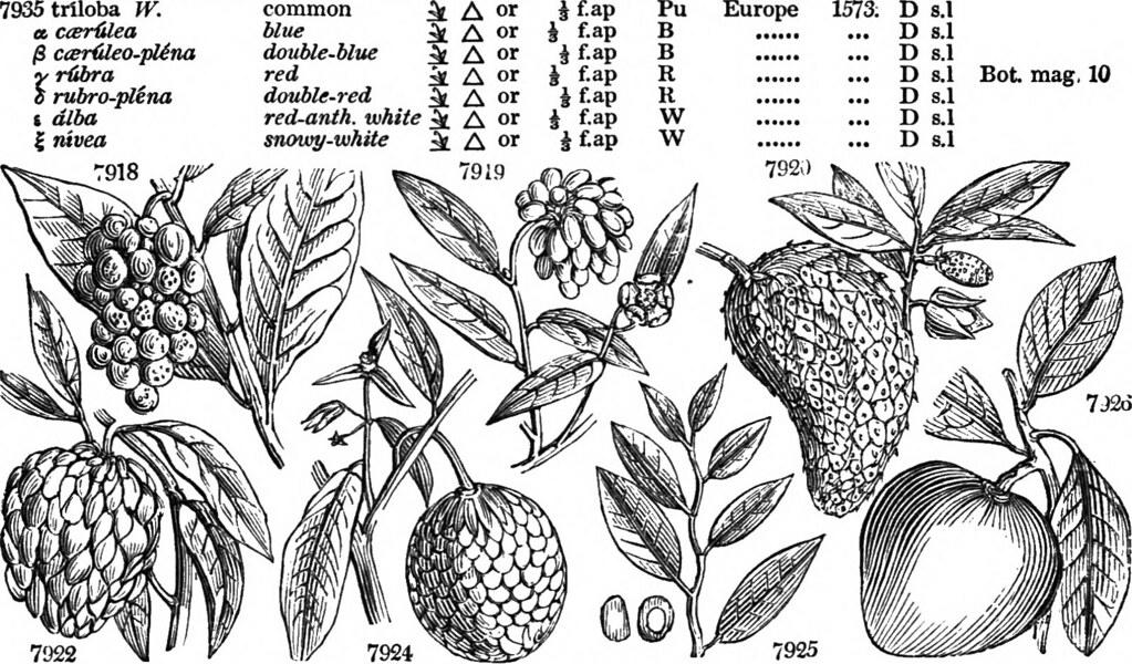 De horticultuur vormt ook een deel van de biologie als wetenschap