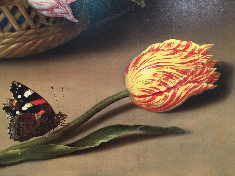 De tulpenmanie in Nederland wordt nu gezien als metafoor voor een economische zeepbel