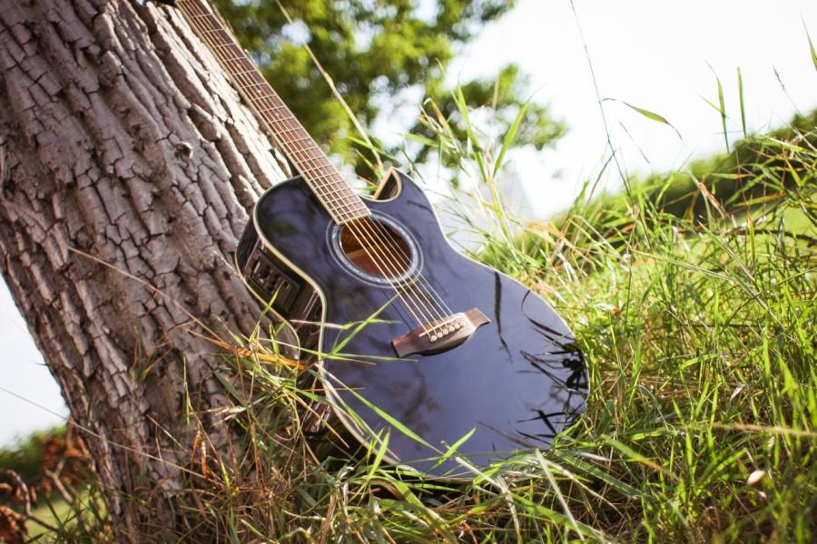 gitaar geleund tegen een boom