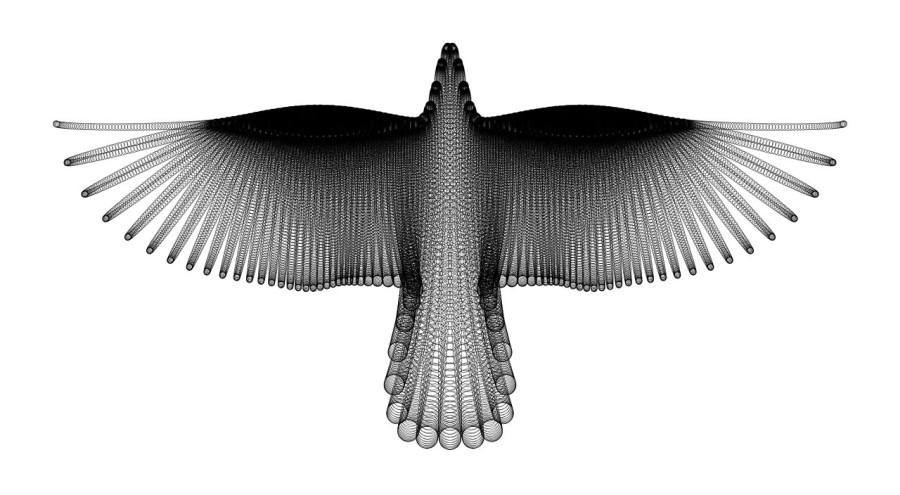 vogelvorm weergegeven door wiskunde formules