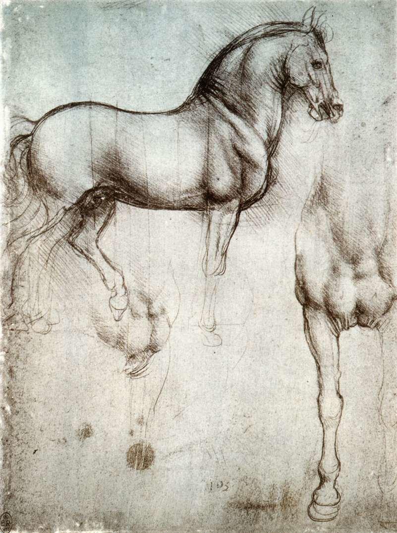 Schets van paard door Leonardo da Vinci