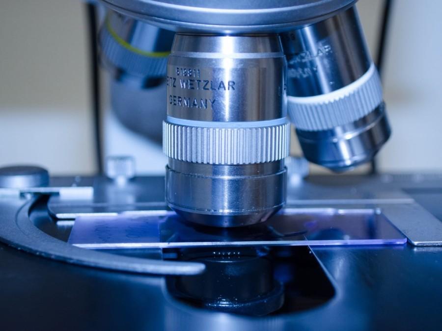 objectieven van microscoop