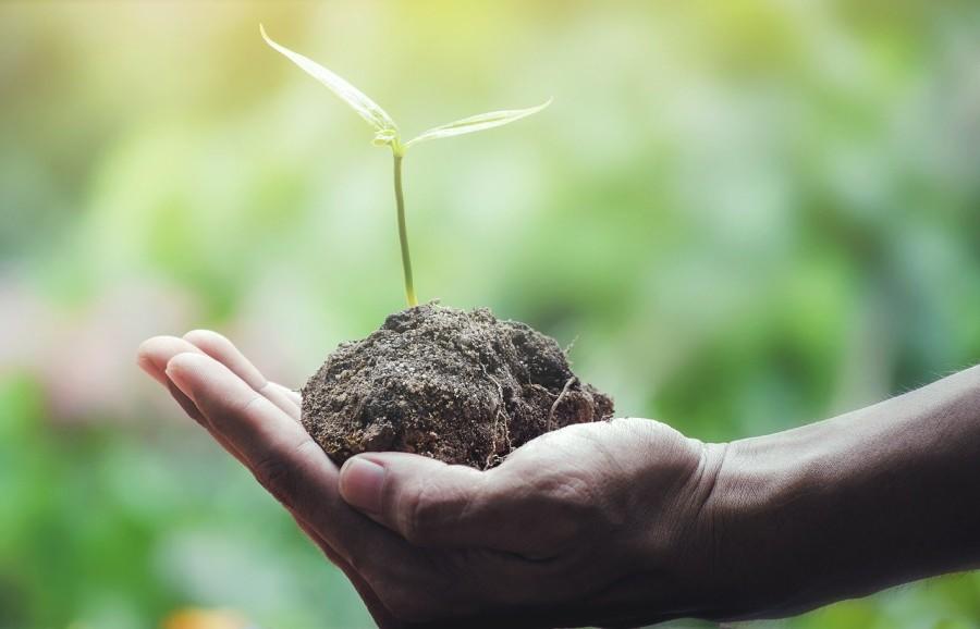 hand houdt klomp aarde met plantje