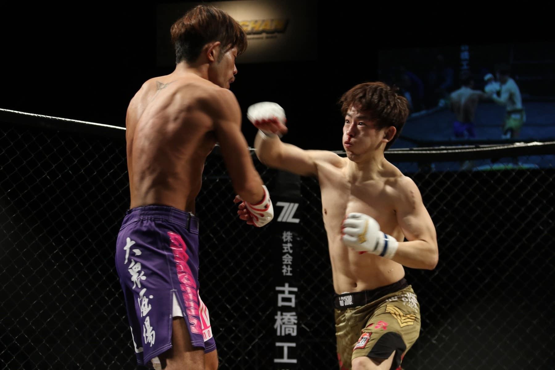 muay thai kickboksers