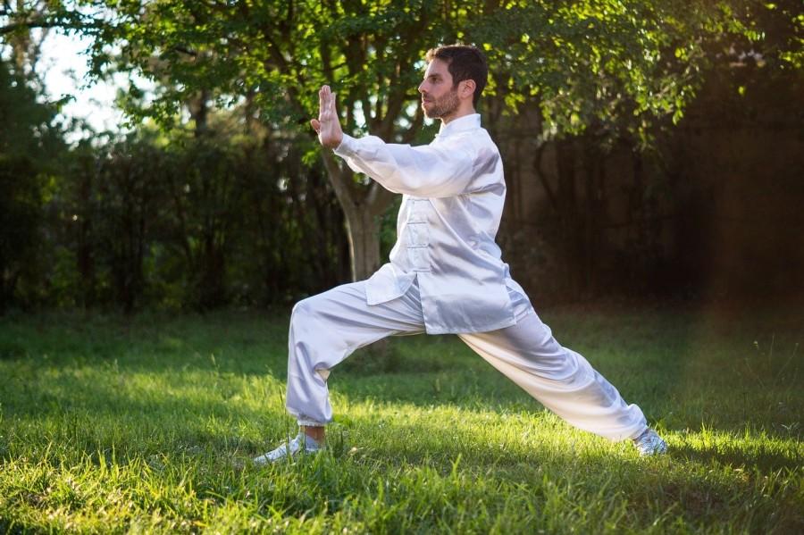 tai chi vechtsport houding