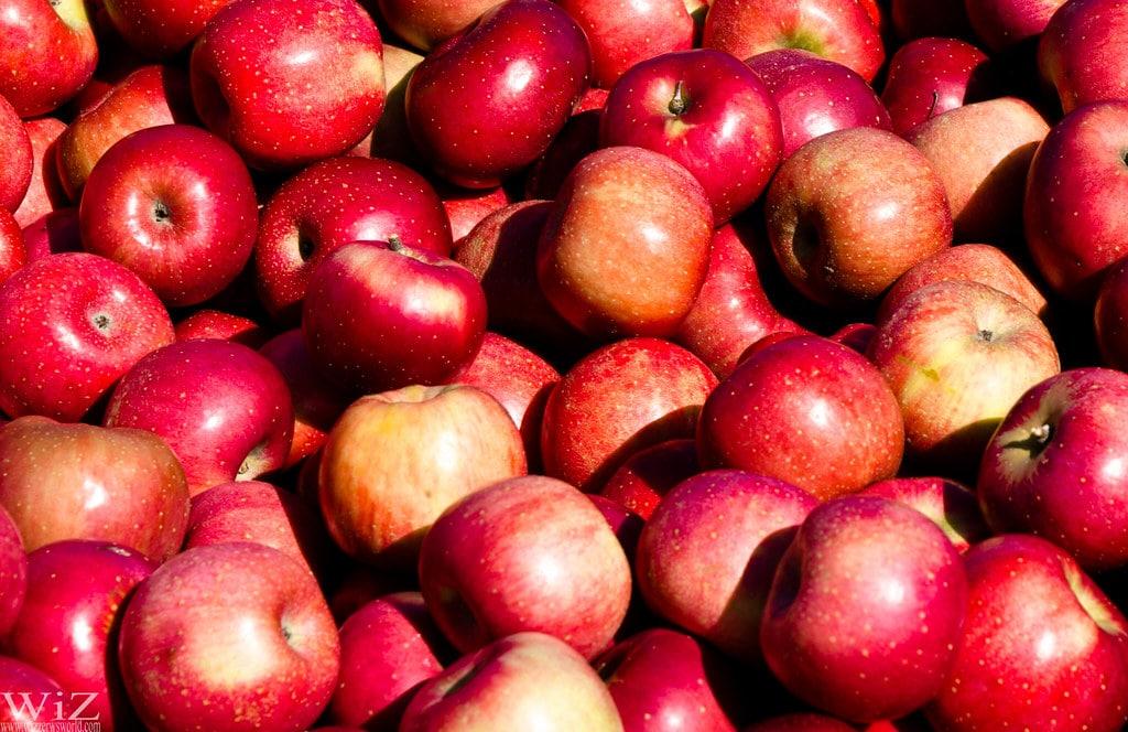 Maak foto's die jij de moeite waard vindt