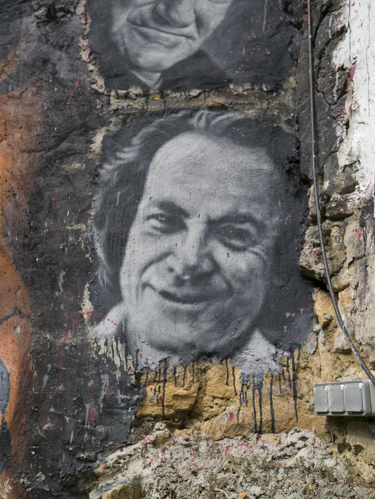 Portret van Richard Feynman