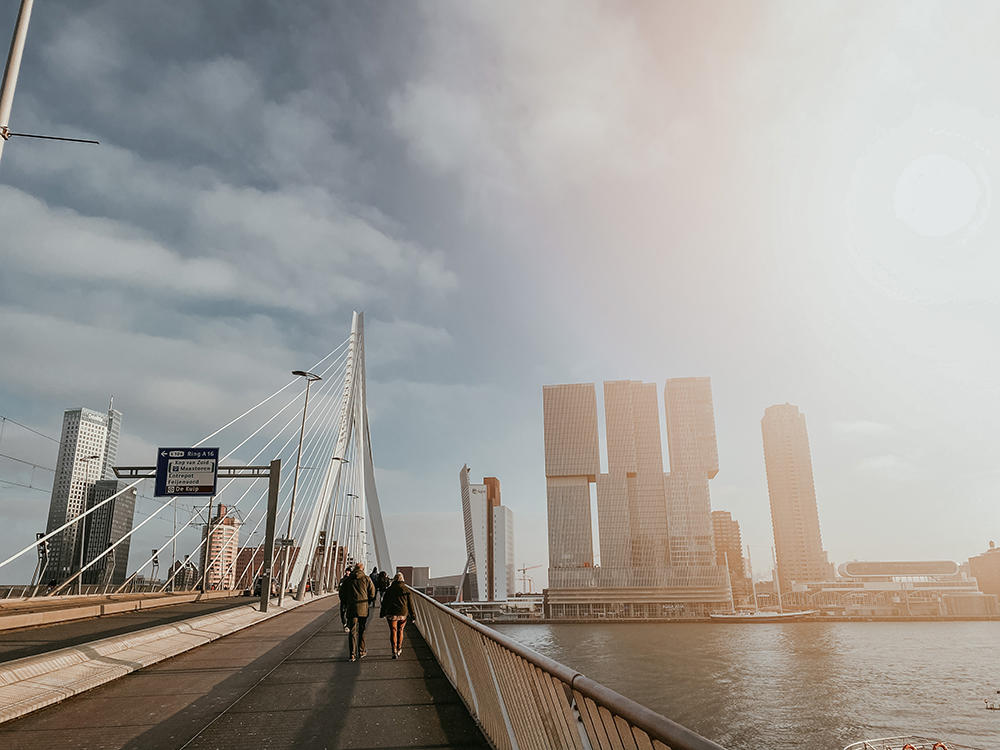 Bijles economie in rotterdam