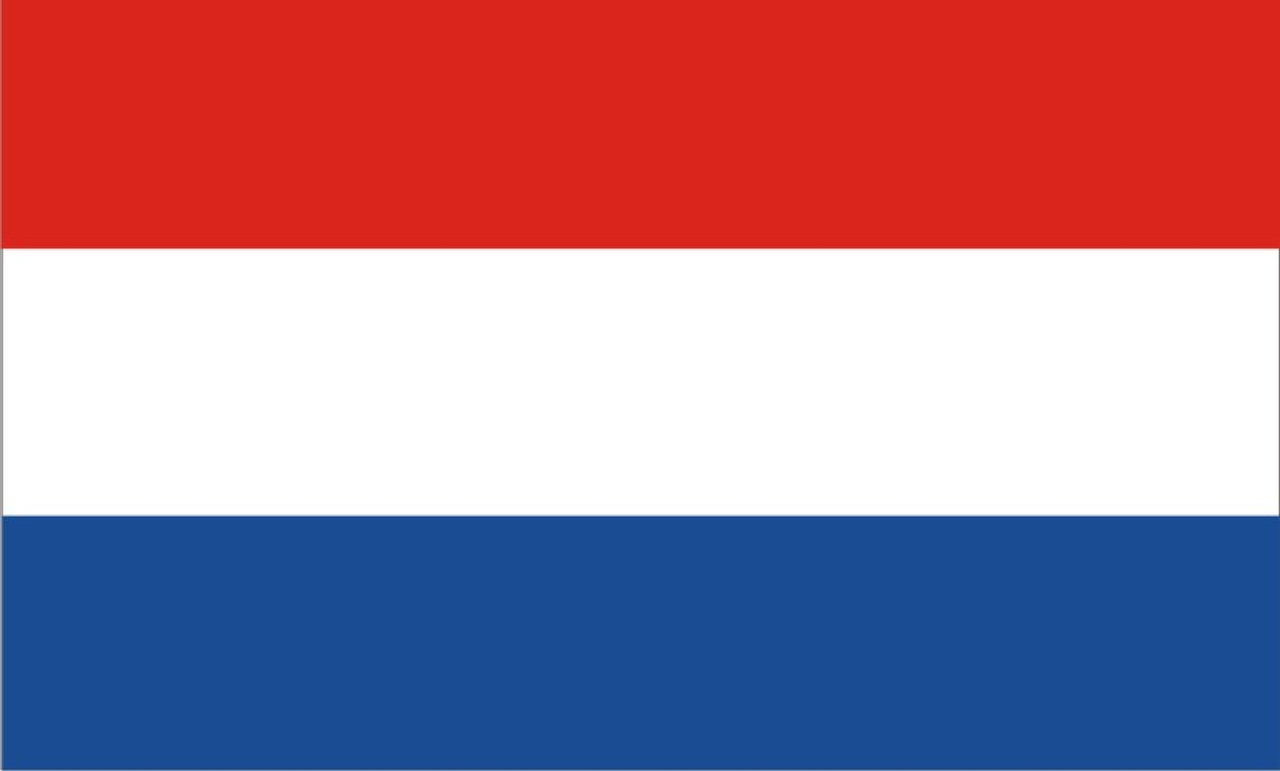 Hoe staat het in Nederland met bijles en huiswerkbegeleiding?