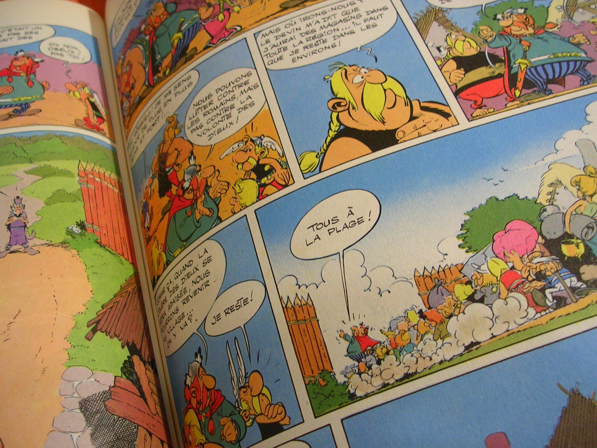 Stripboek Asterix en Obelix