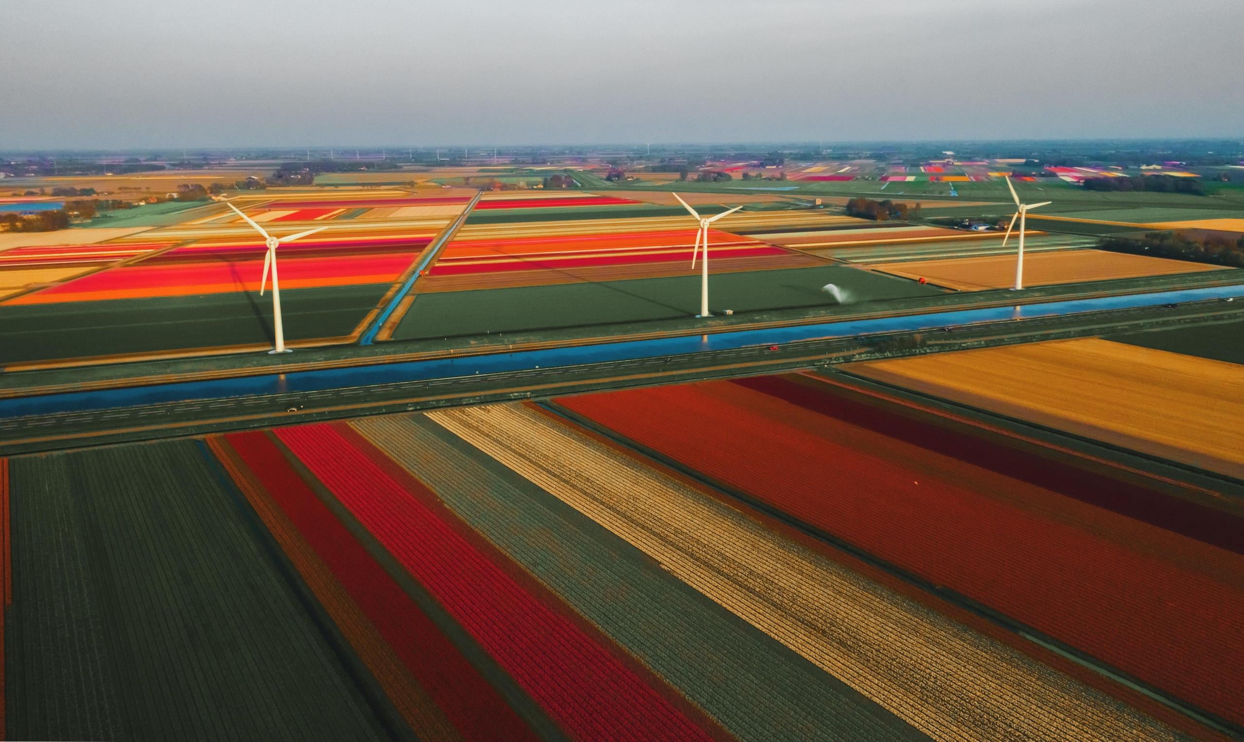 Het landschap in Nederland
