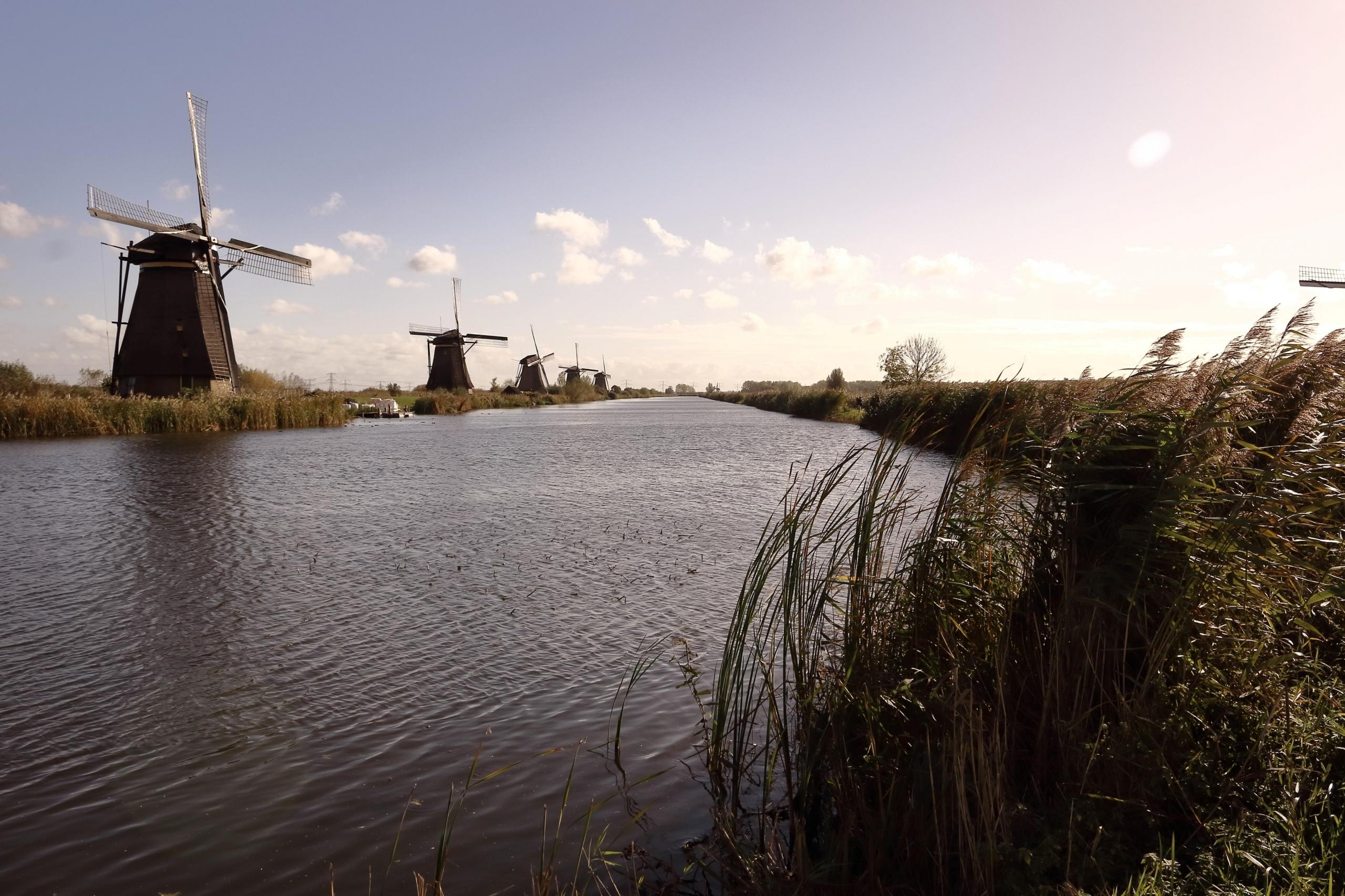 Elementen van de Nederlandse cultuur