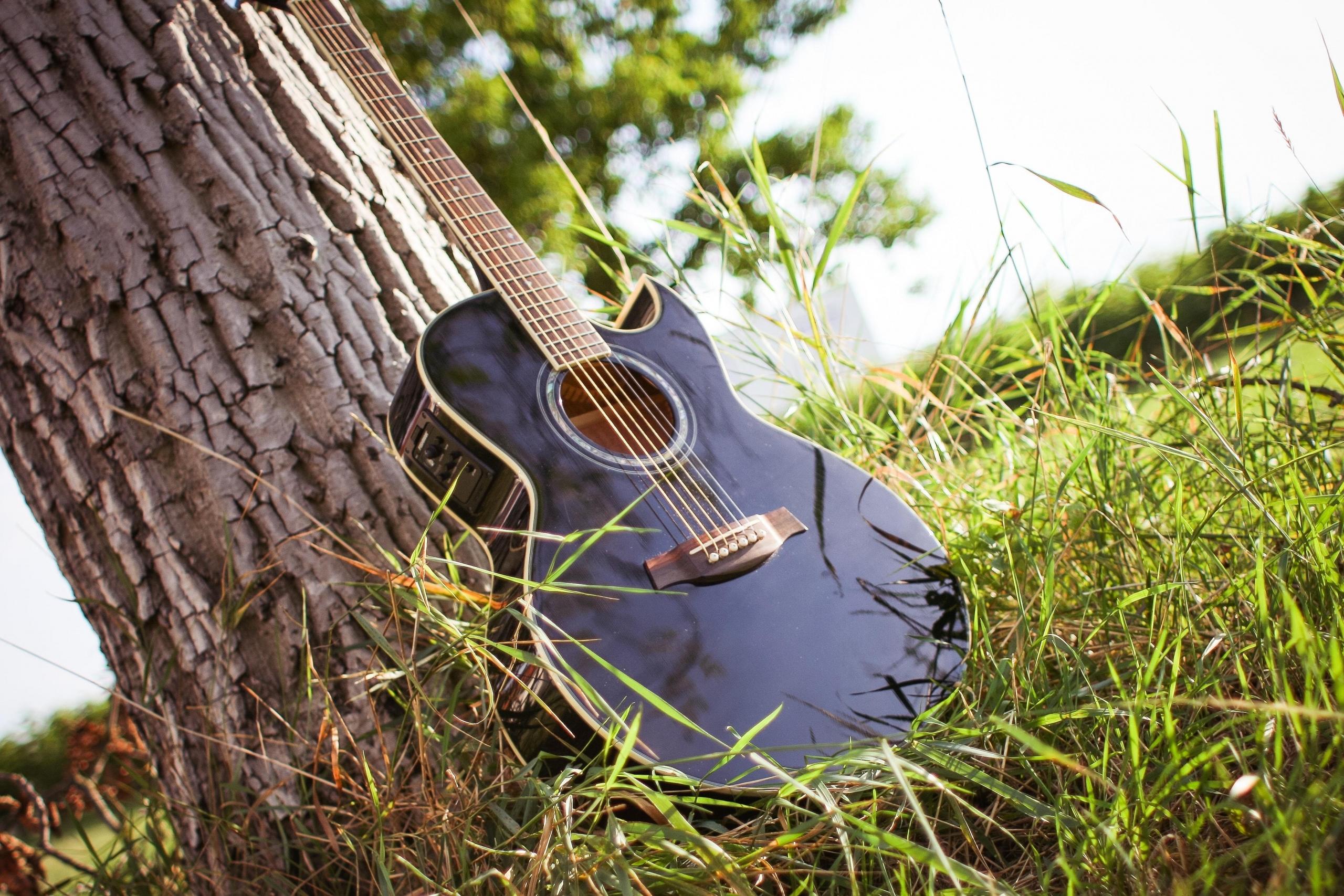 Gitaar tegen boom