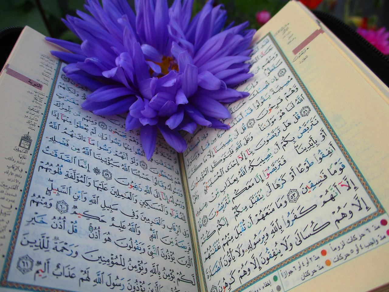 Je kunt ervoor kiezen om Koran Arabisch te leren