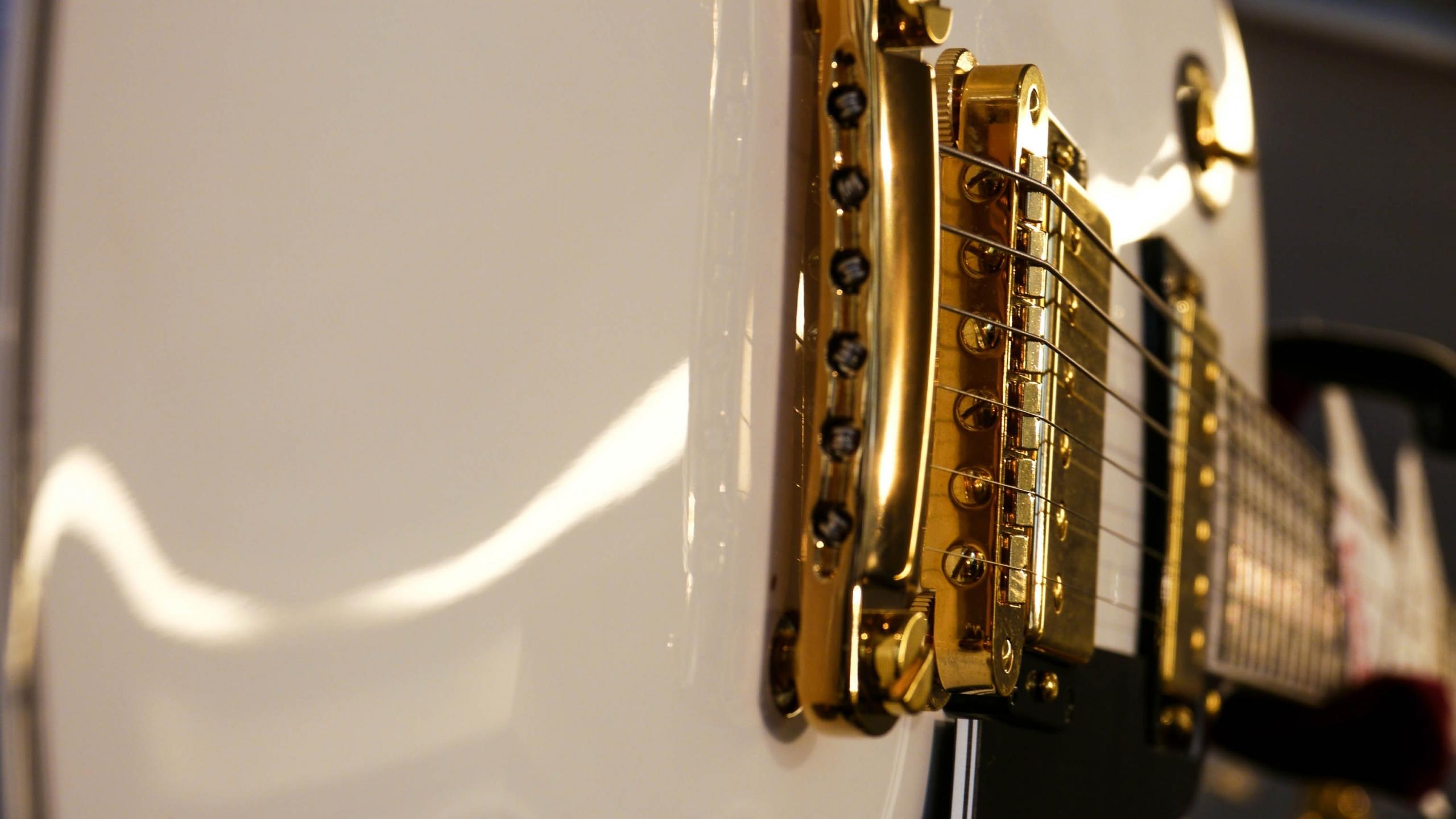 Gitaar snaren