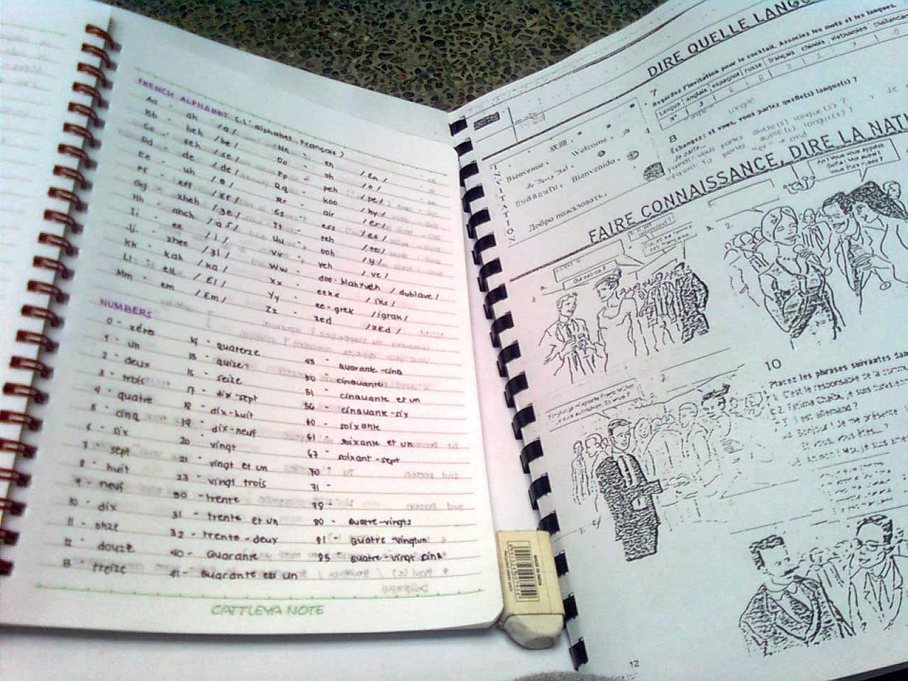 Je kunt op verschillende manieren Frans leren