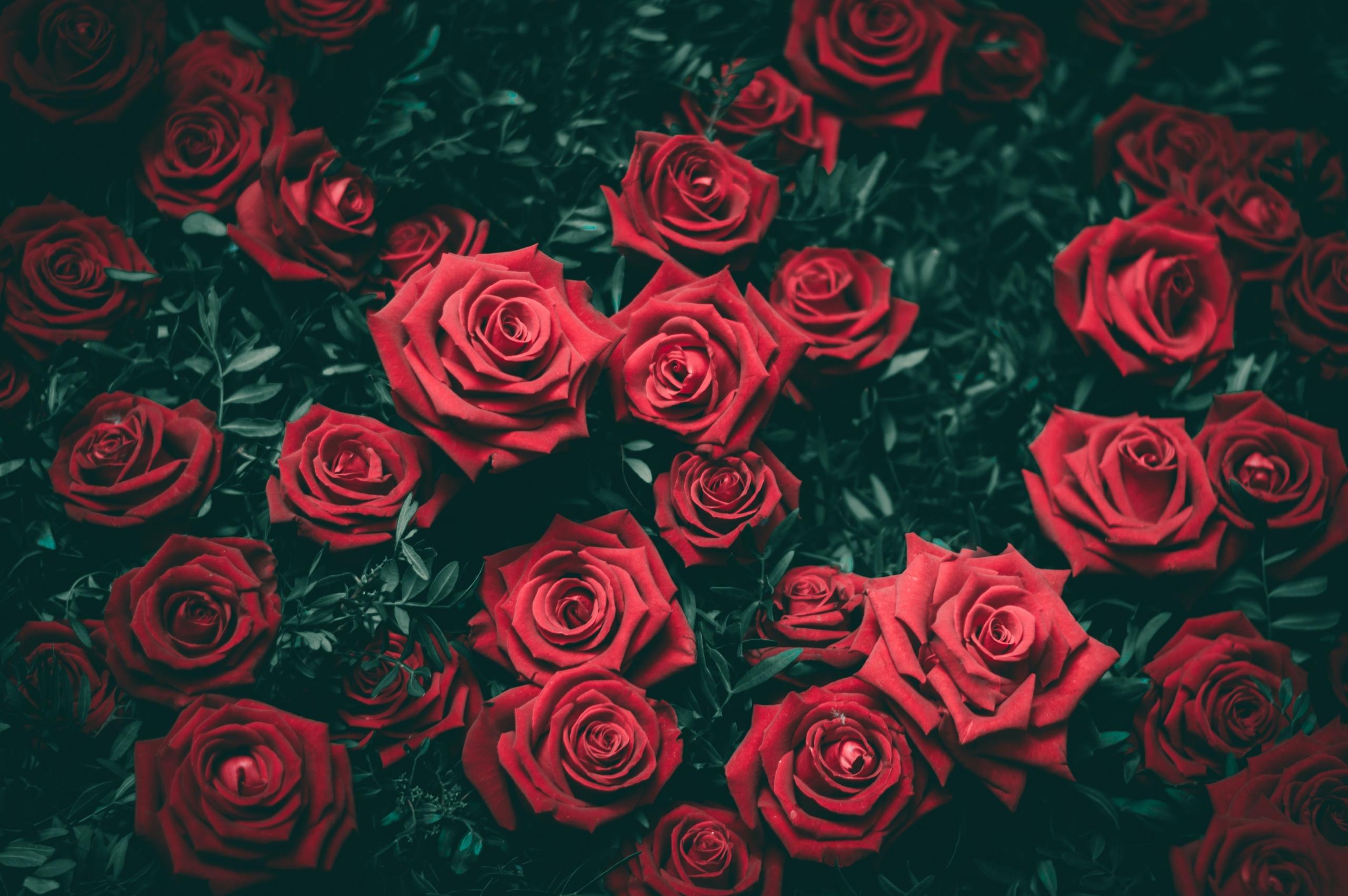 Niet alle Nederlandse poëzie gaat over de liefde