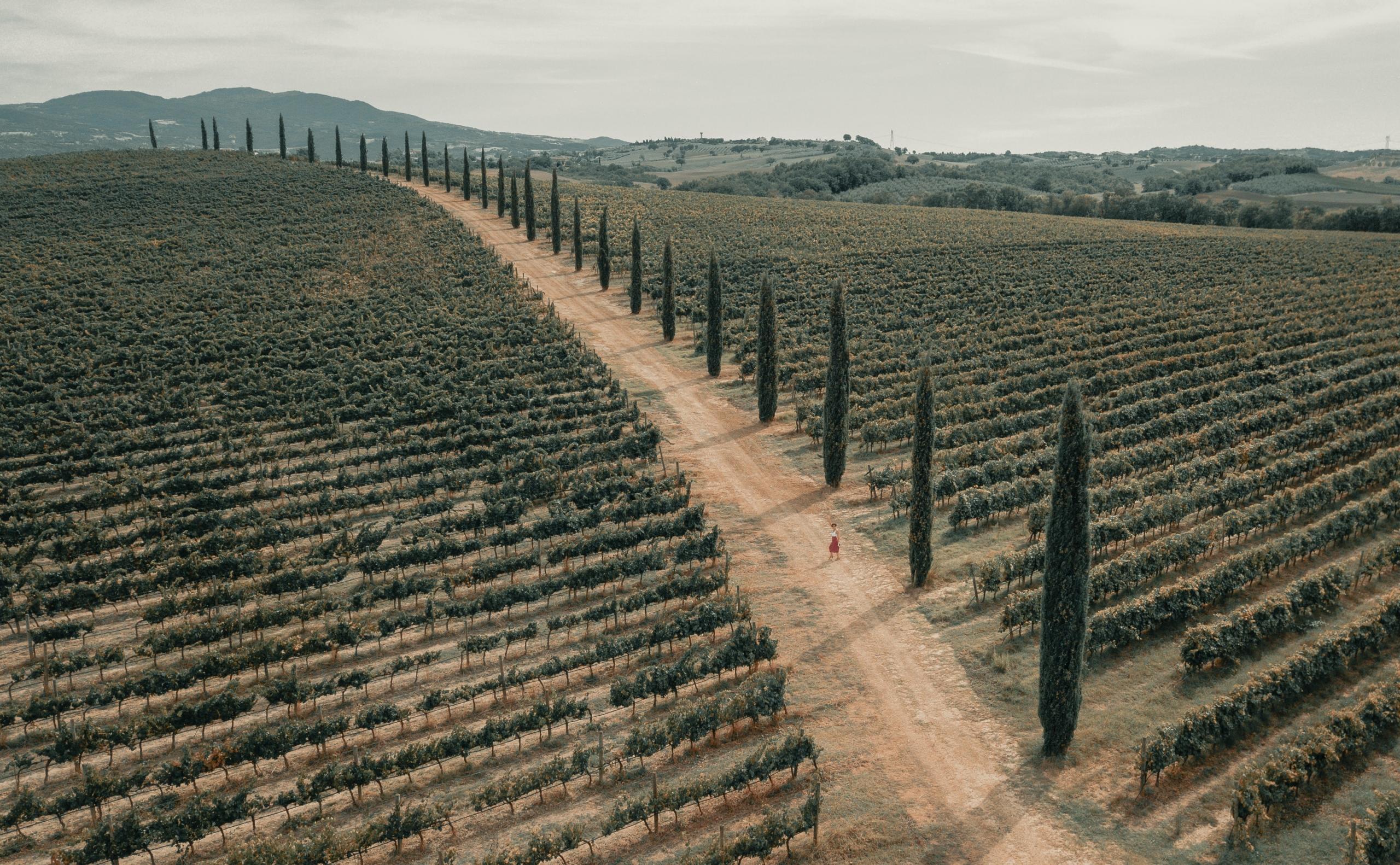 De Italiaanse taal werd voorafgegaan door honderden andere talen