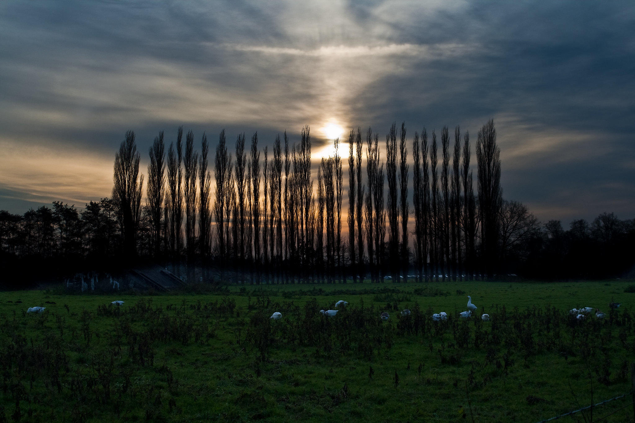'Denkend aan Holland' is een gedicht van Marsman dat gebaseerd is op een typisch Nederlands landschap