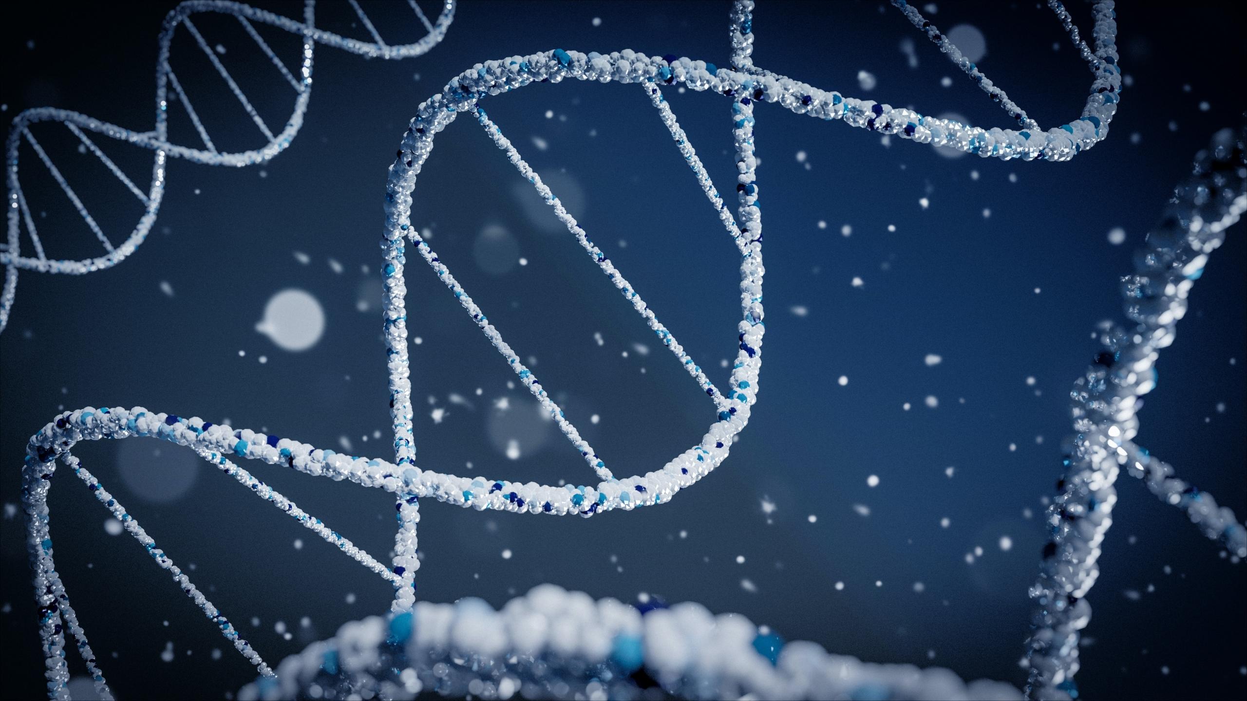 Een DNA-streng die van nature veel data bevat over de mens