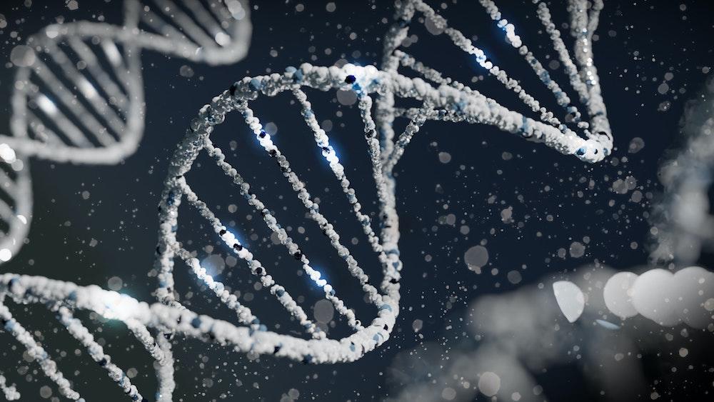 De structuur van DNA