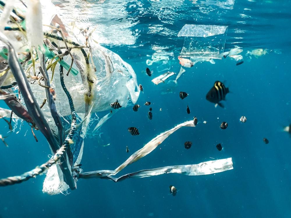 Vissen zwemmen tussen plastic afval in de oceaan