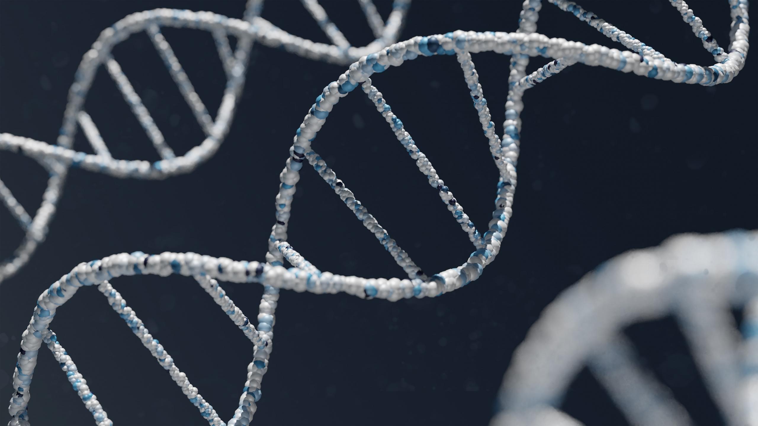 Een visualisatie van de structuur van DNA