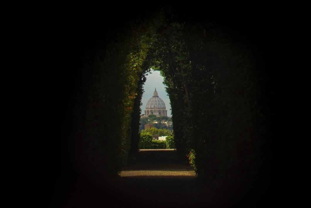 De SintPieter vanuit de Vaticaanse tuinen.