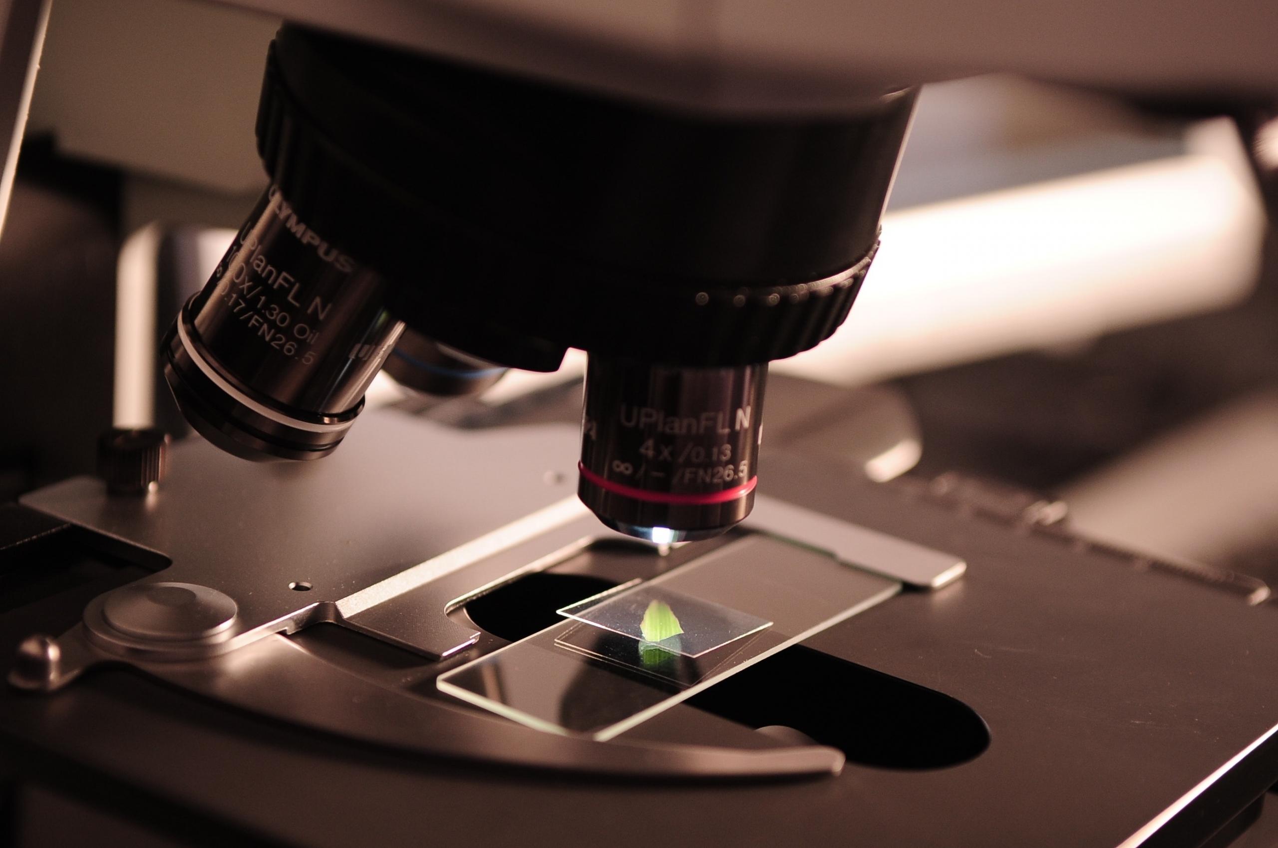 Microscoop die iets van dichtbij bekijkt