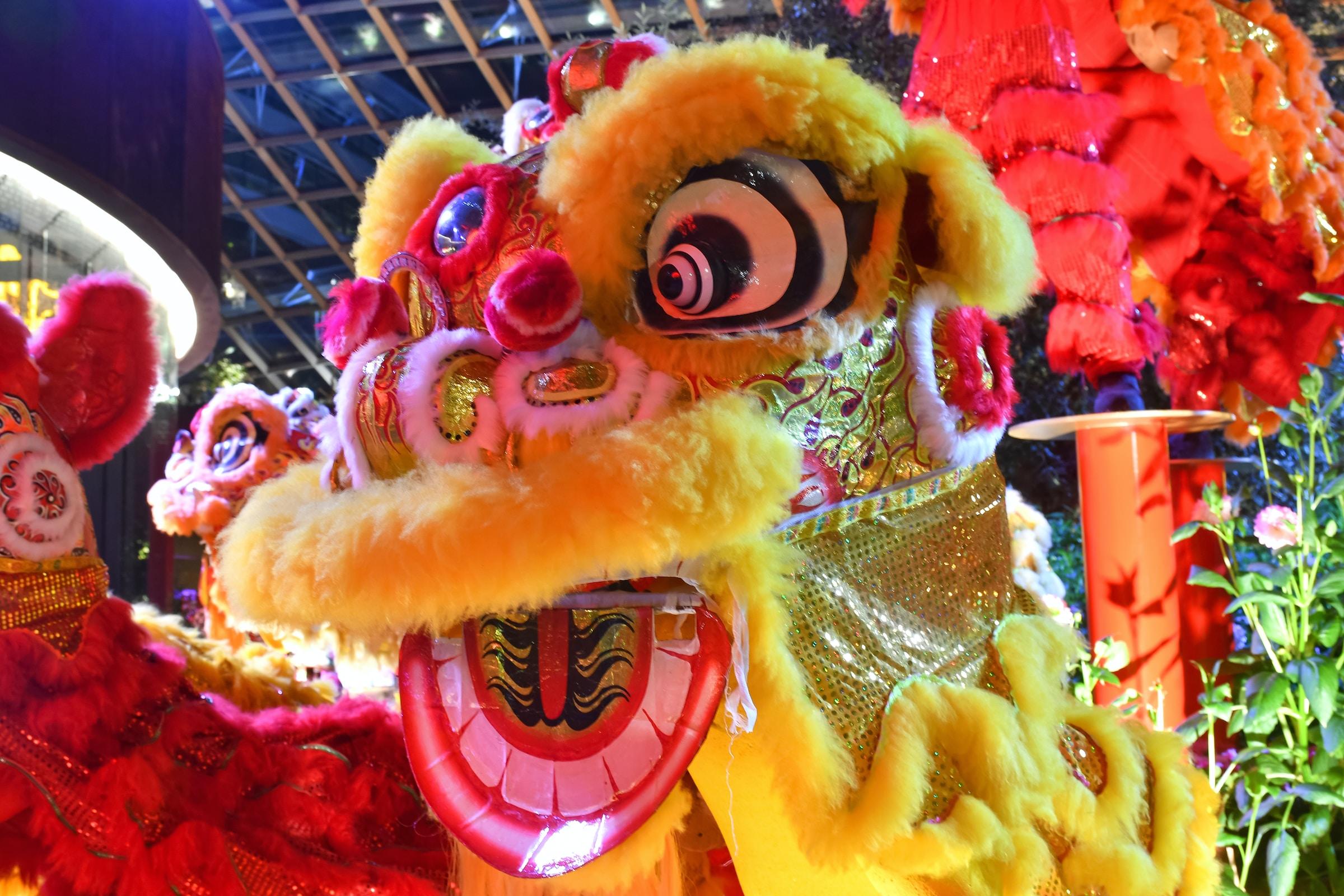 Chinees Nieuwjaar