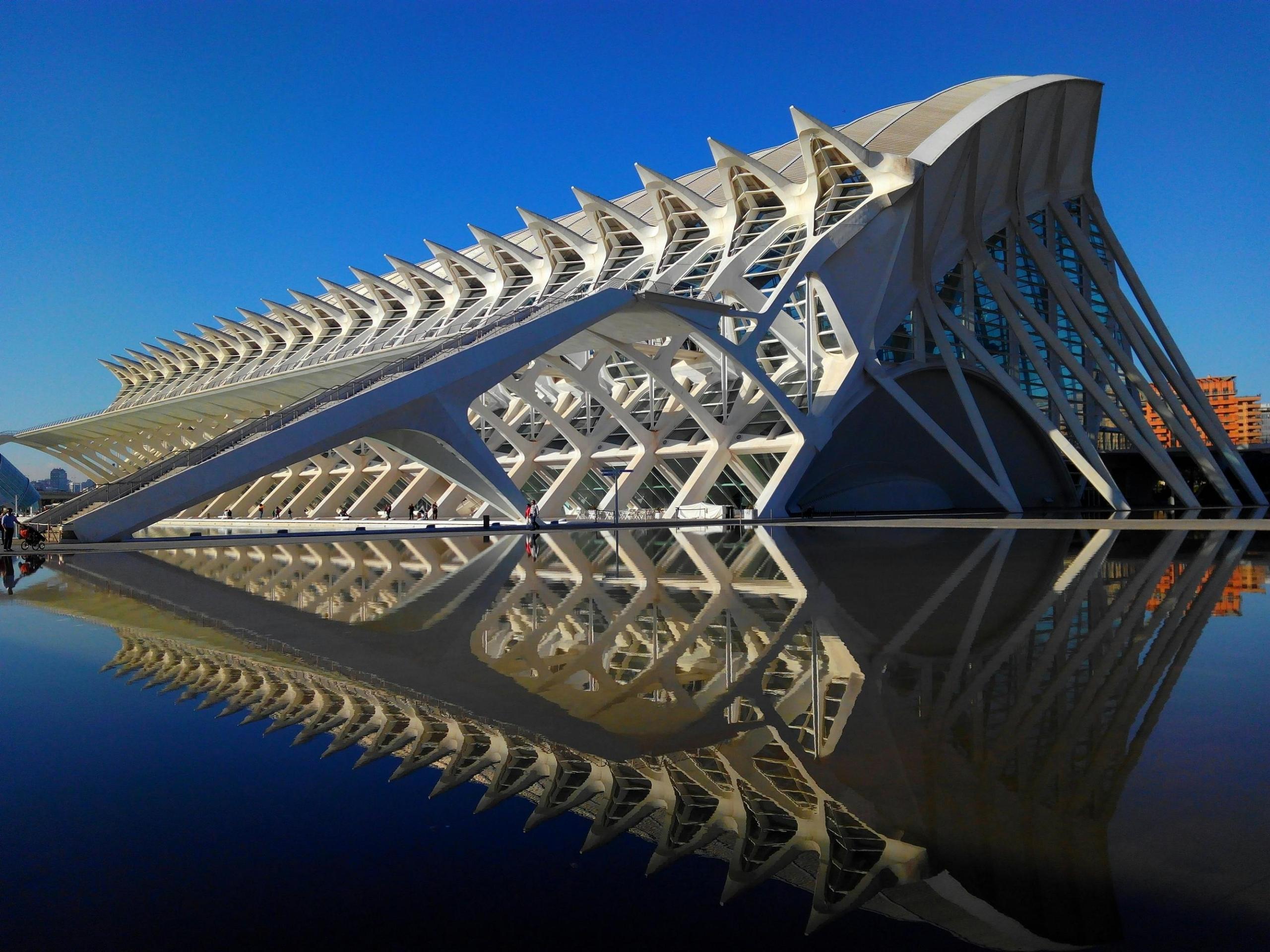 De Stad van Kunst en Wetenschappen in Valencia, een futuristisch complex van gebouwen ontworpen door Santiago Calatrava.