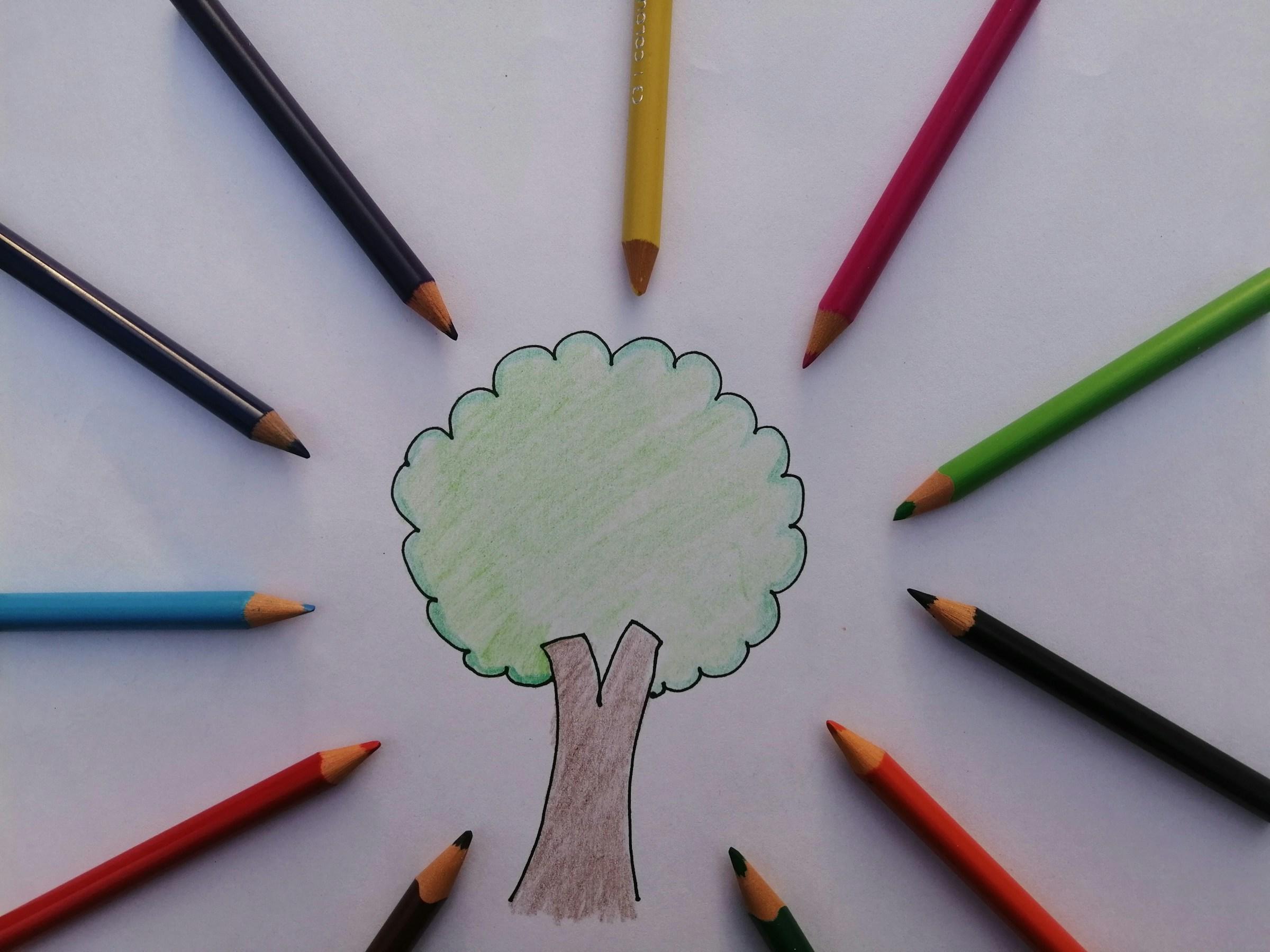 Tekening van een boom met kleurpotloden in een cirkel erom heen op witte achtergrond