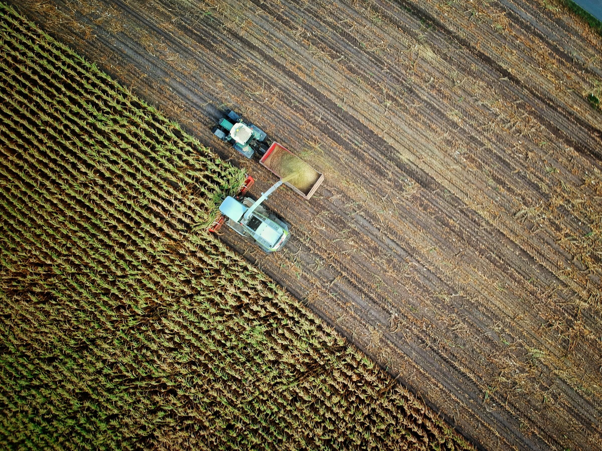 Oogst met landbouwmachines