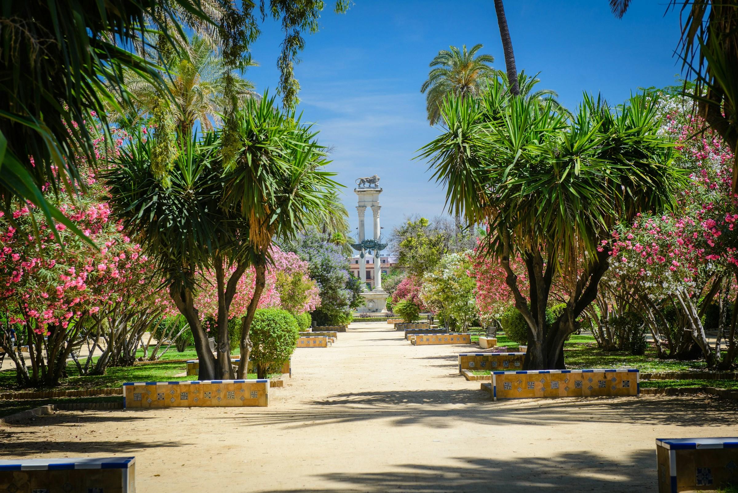 Pad met aan zijkanten mediterrane bomen en aan het eind een wit monument
