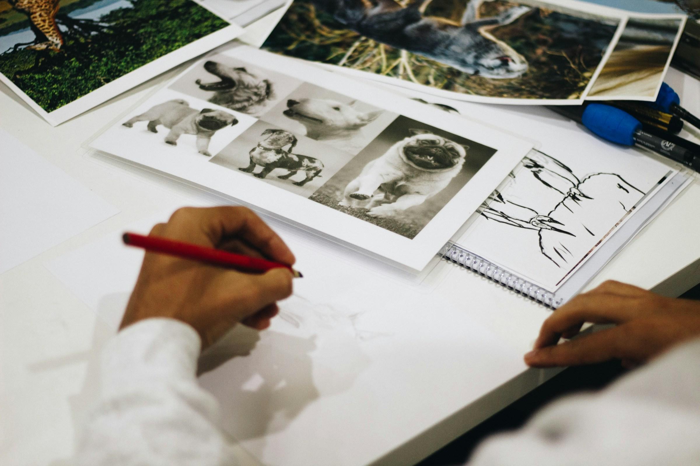 Hand tekent op doek omringd door foto's