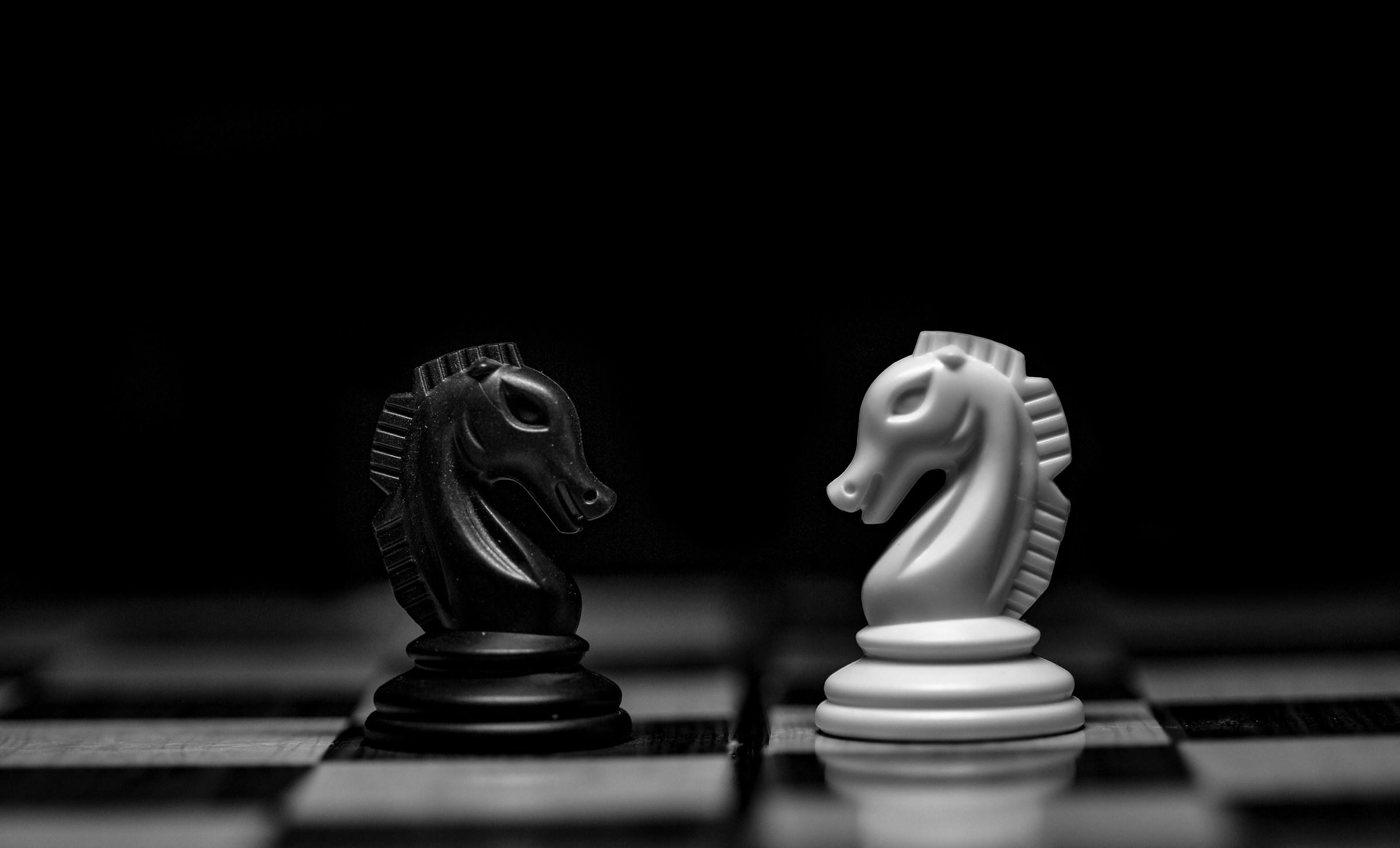 Schaken: Wit en zwart paard tegenover elkaar