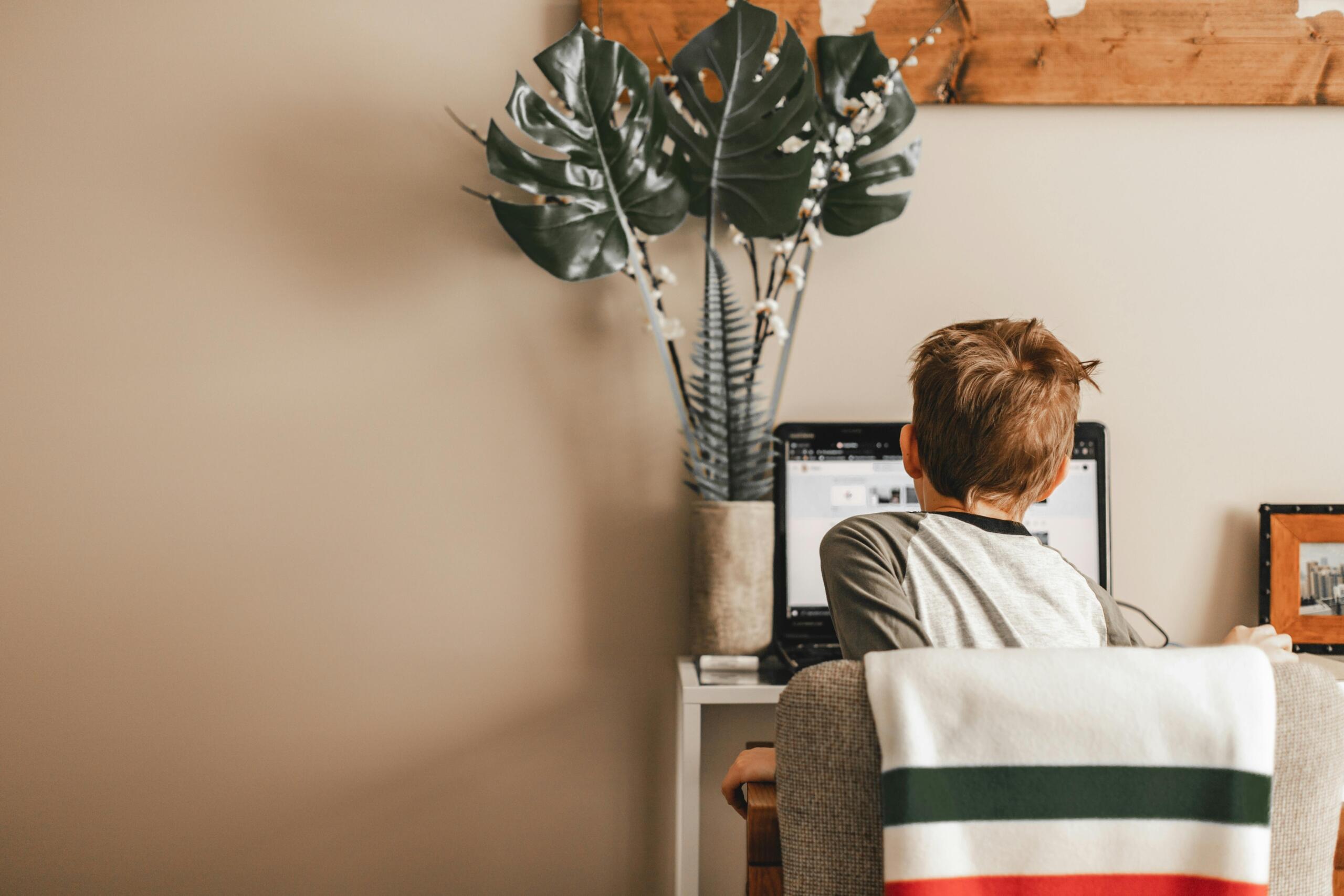 Een jongen zit aan een bureau en kijkt op zijn laptop, omringd door een plant en neutrale decoratie.