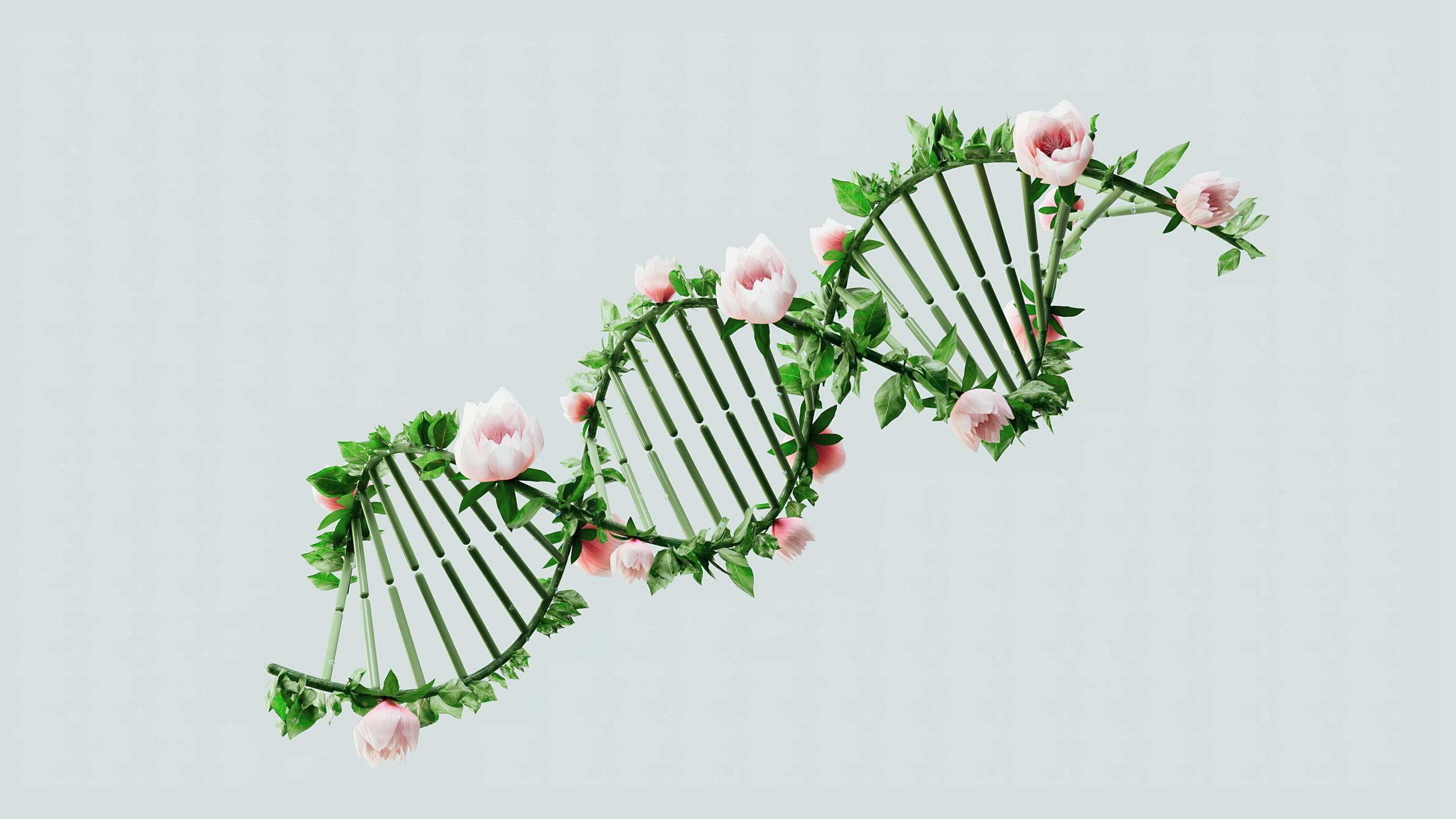 Een DNA-helix opgebouwd uit groene bladeren en roze bloemen.