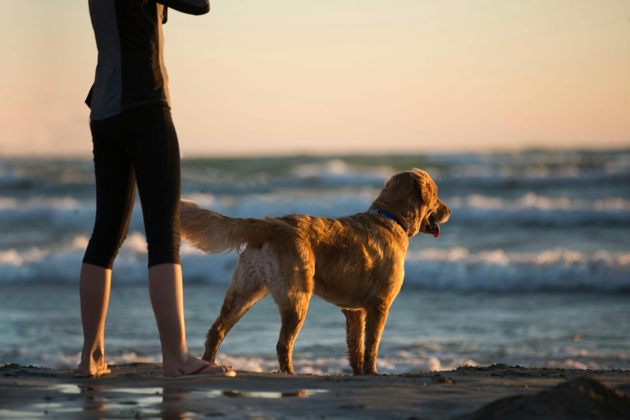 Een hond en een persoon staan samen op het strand, kijkend naar de zee bij zonsondergang.