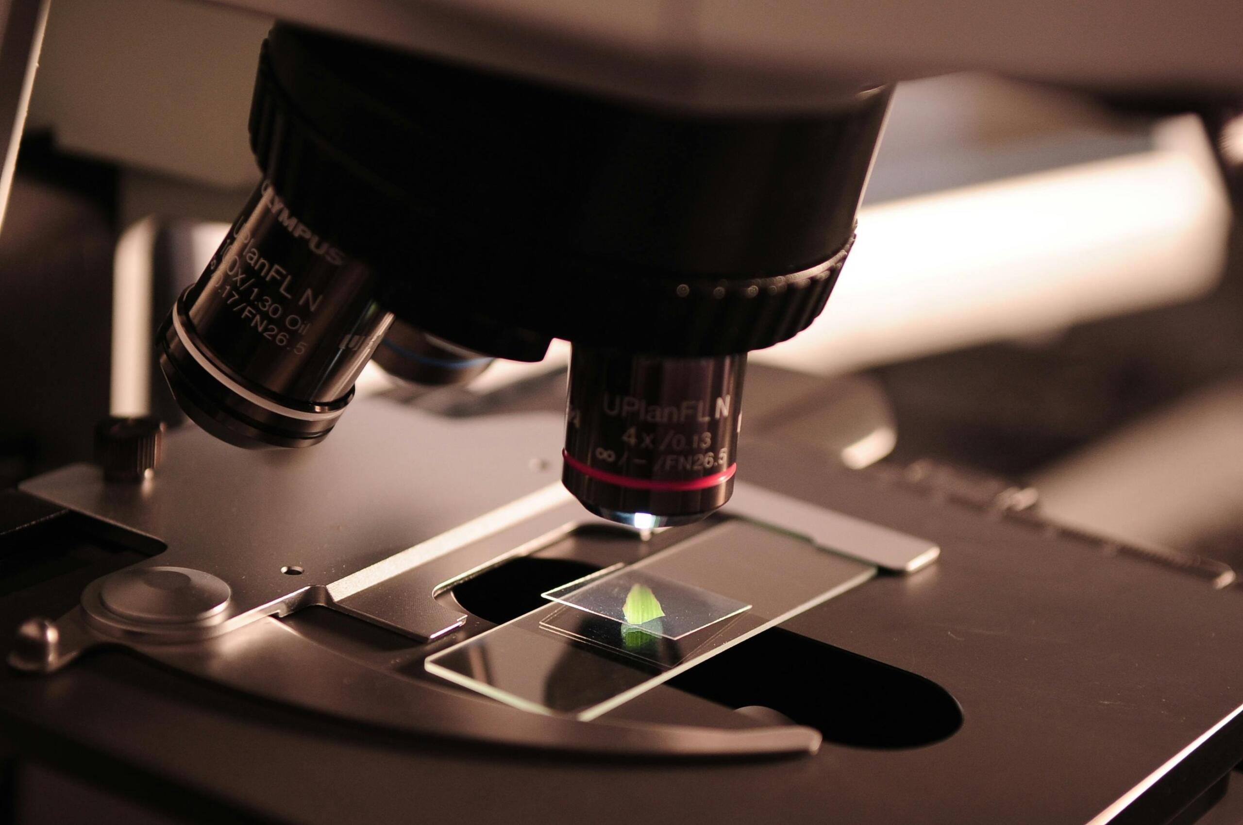 Een microscoop met een preparaat onder de lens.