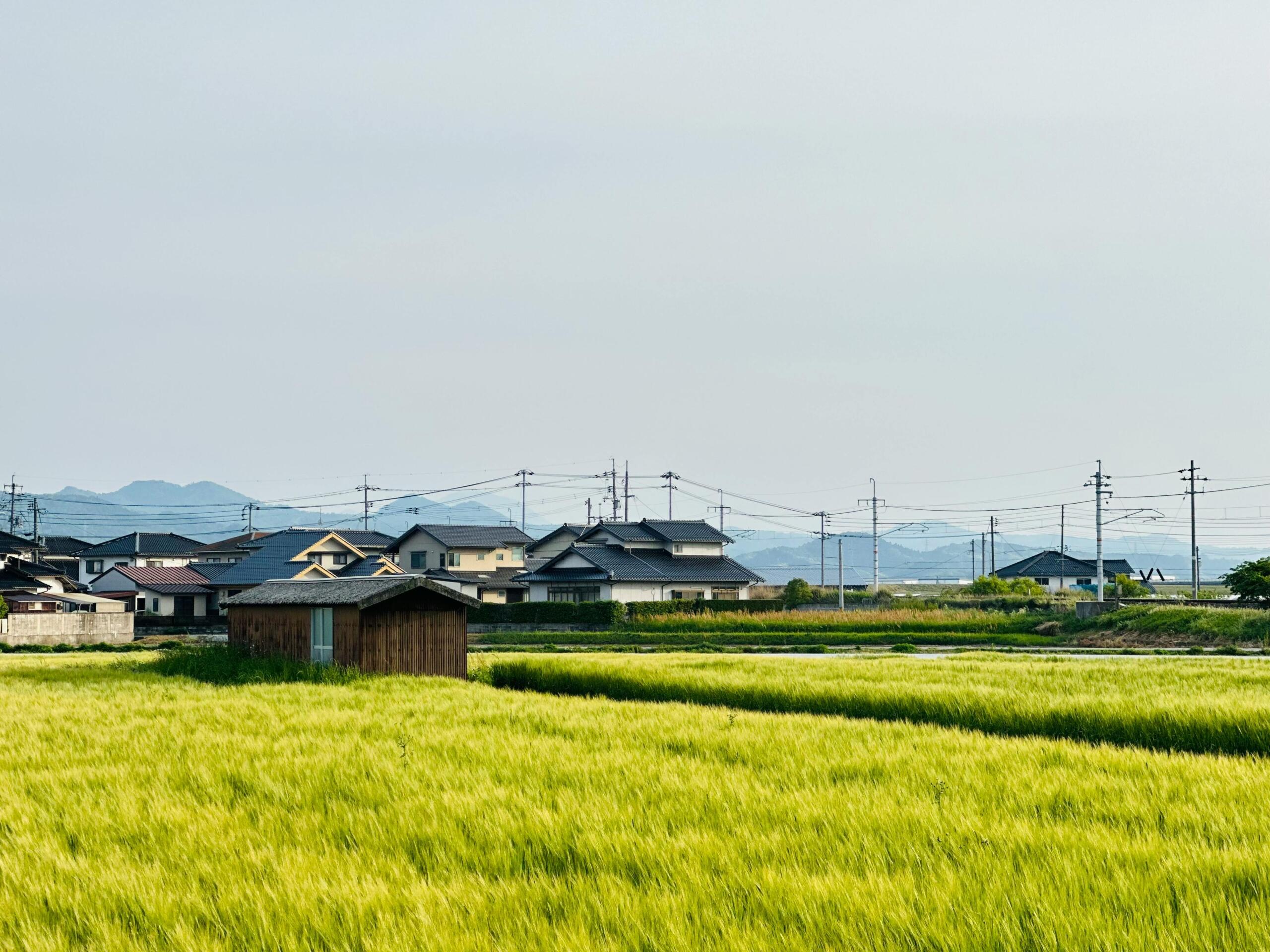 Panoramisch uitzicht op groene rijstvelden en traditionele boerderijen op het Japanse platteland, met heuvels en bergen op de achtergrond.