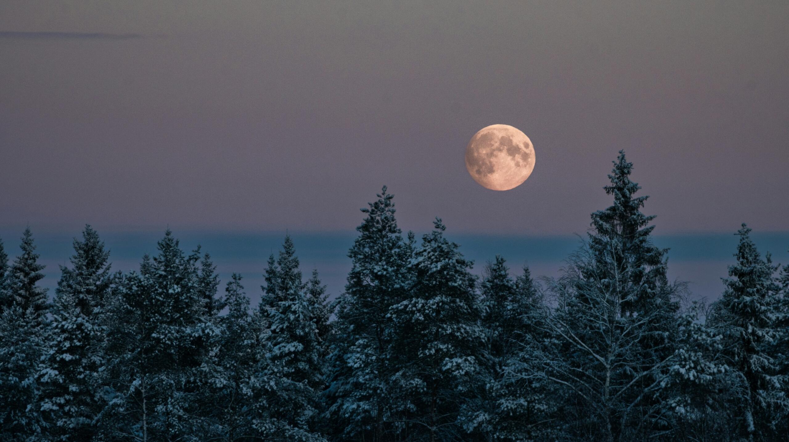 Volle maan boven een winters bos