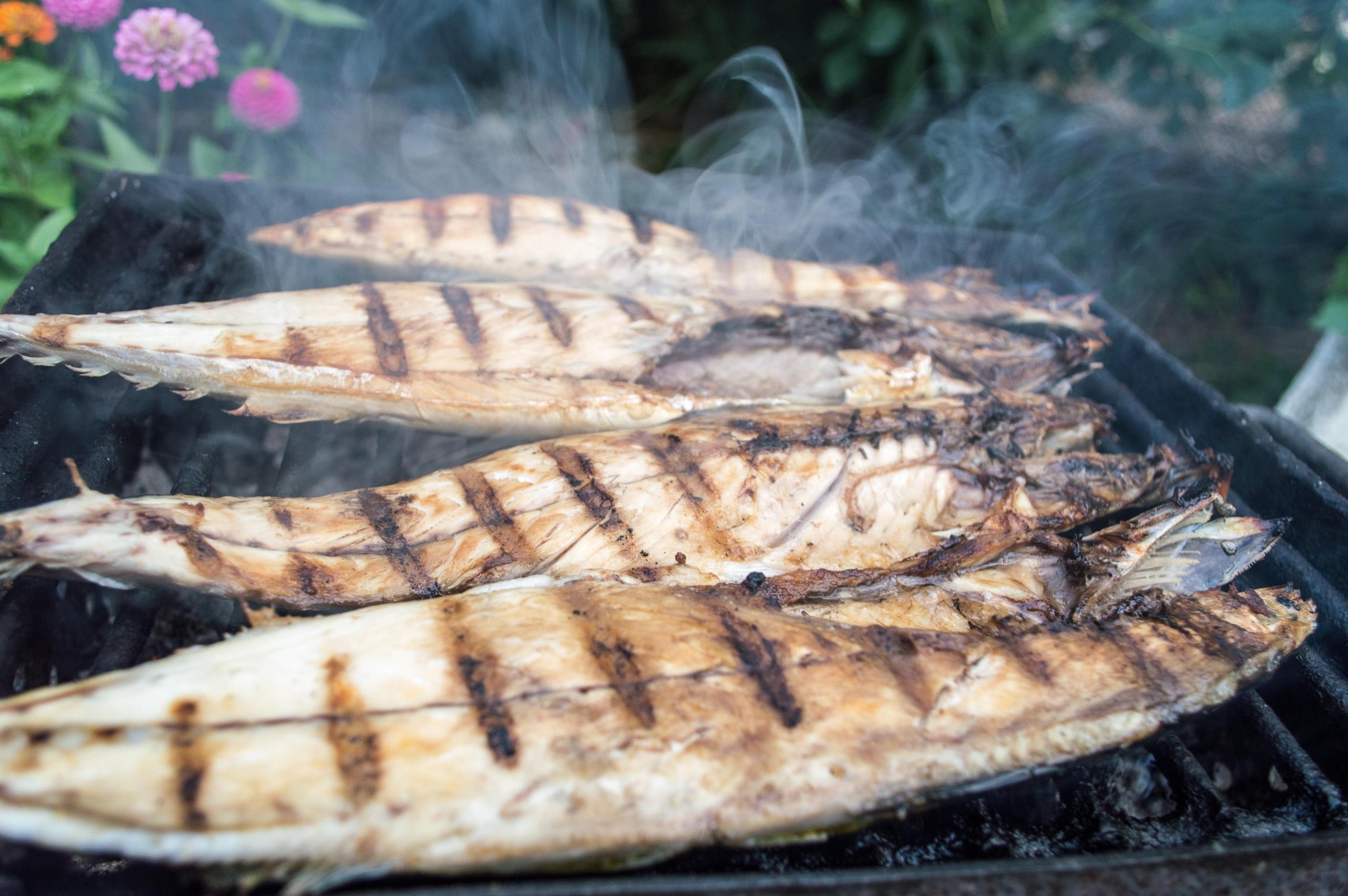 Fire makrell ligger på en grill, i bakgrunnen er noen blomster