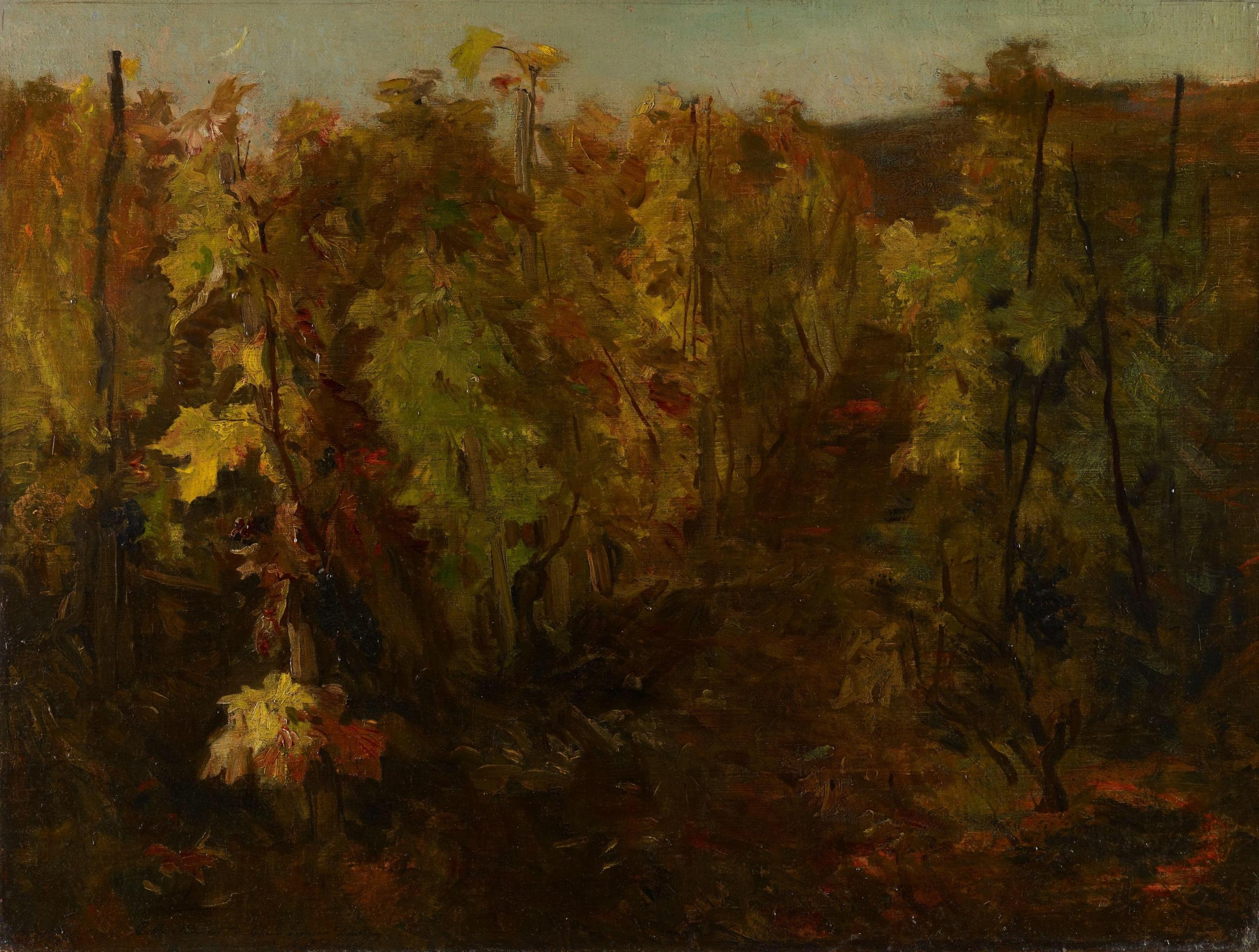 Maleriet La vigne av Daubigny, et maleri i bruntoner av vinranker