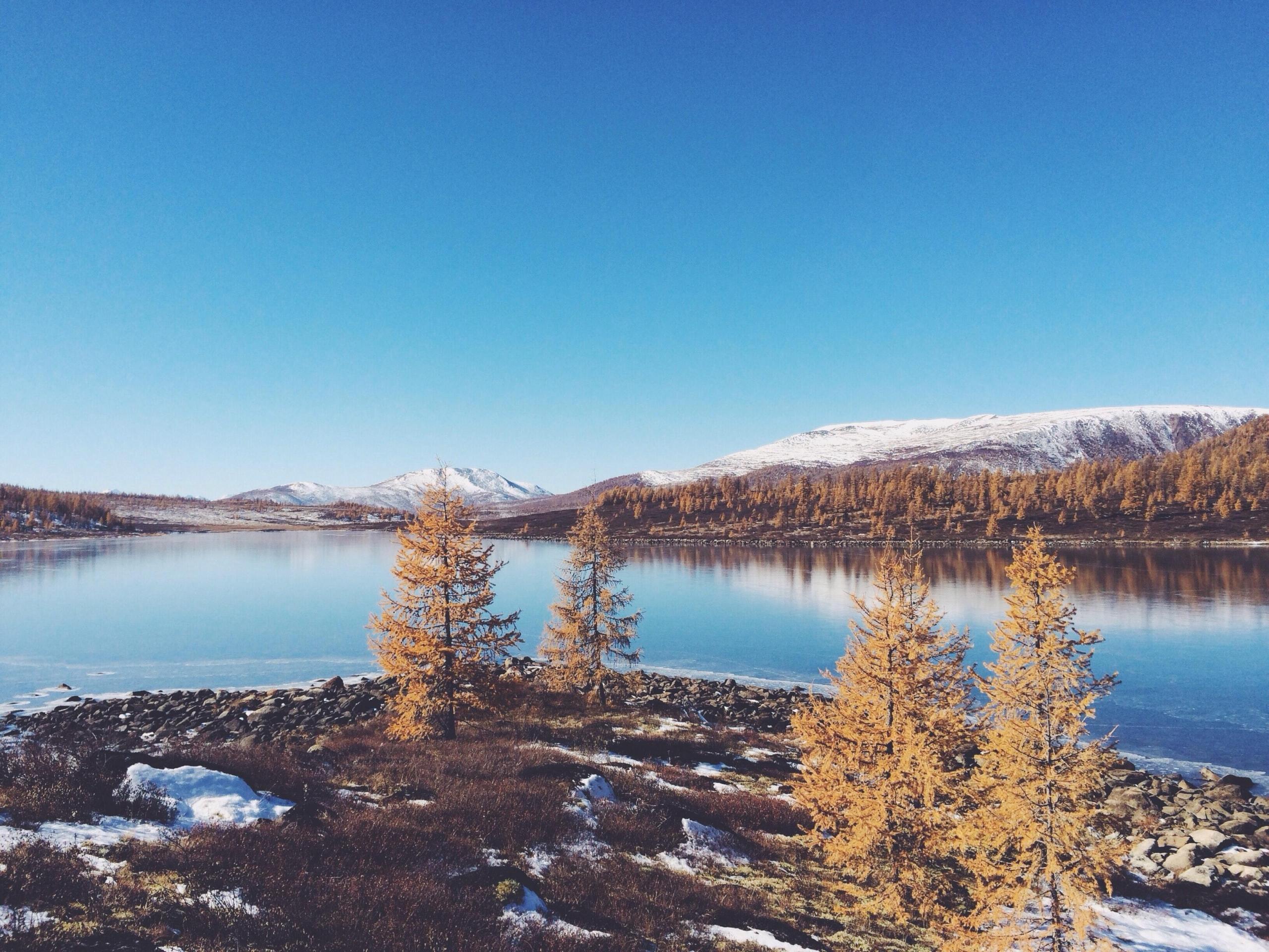 natur i sibir
