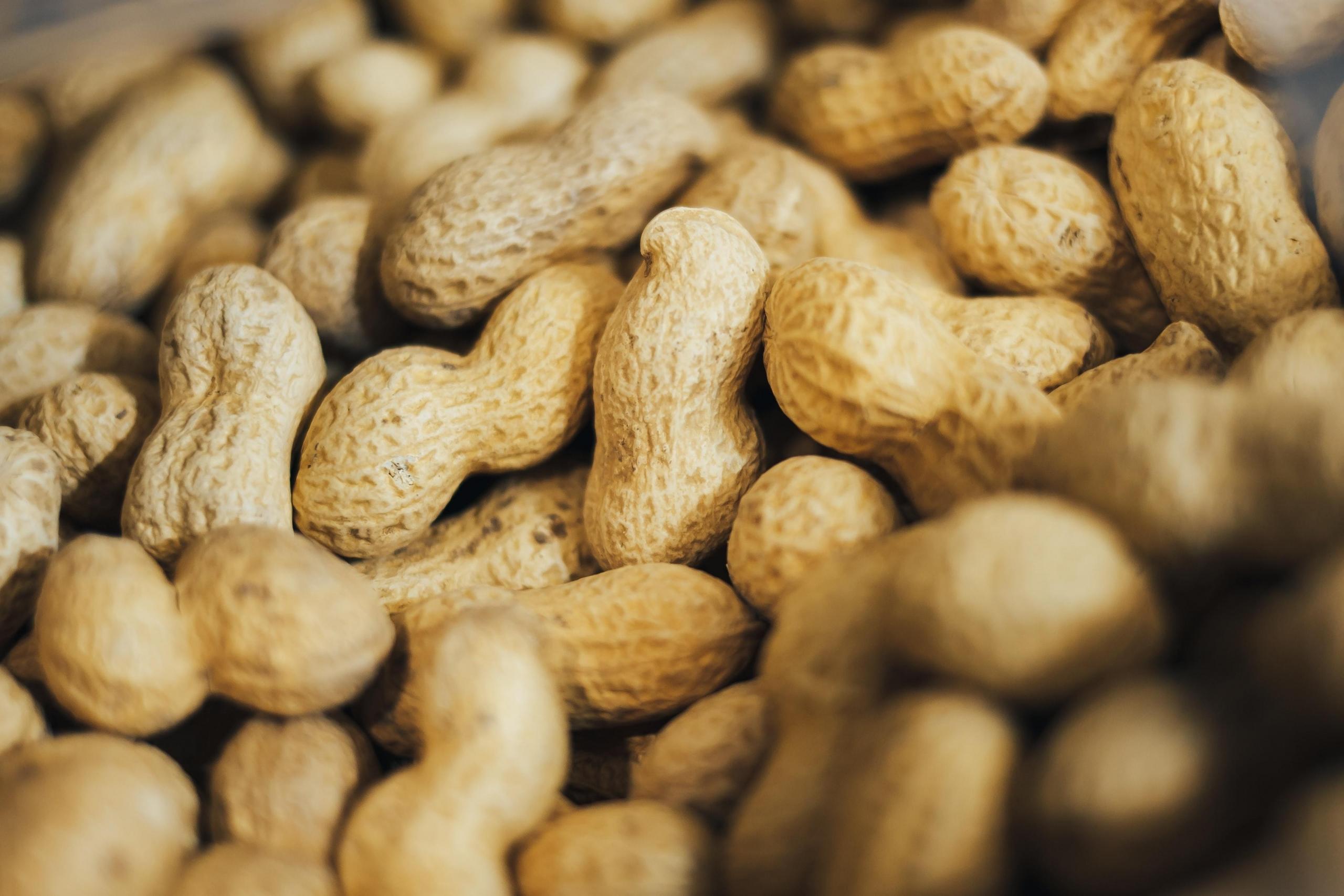 peanøtter med skall dekker hele bildet, de ligger i en haug