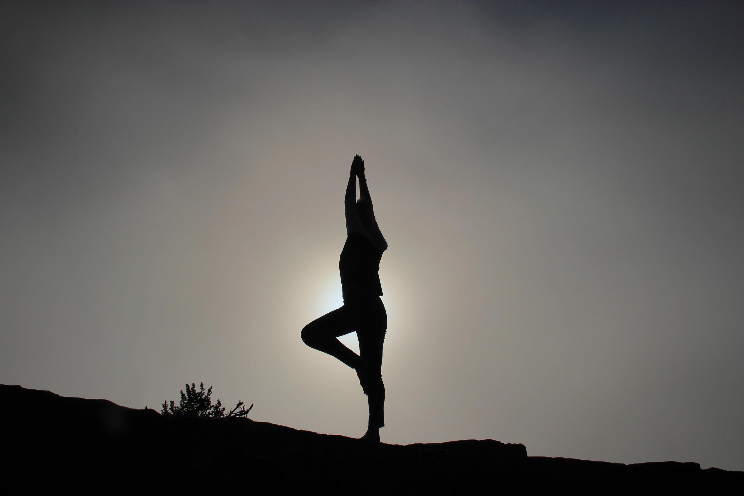 Hatha yoga